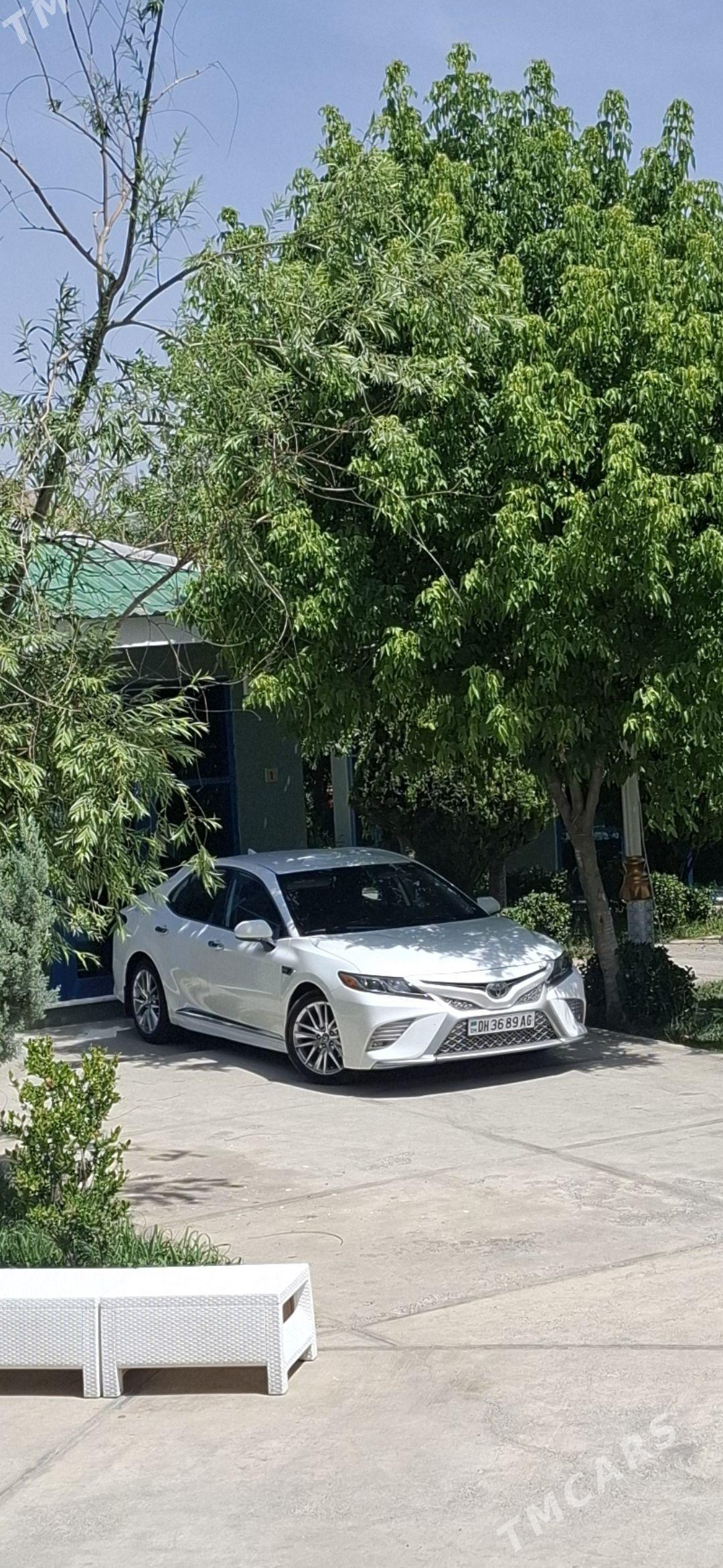 Toyota Camry 2019 - 325 000 TMT - Ашхабад - img 1