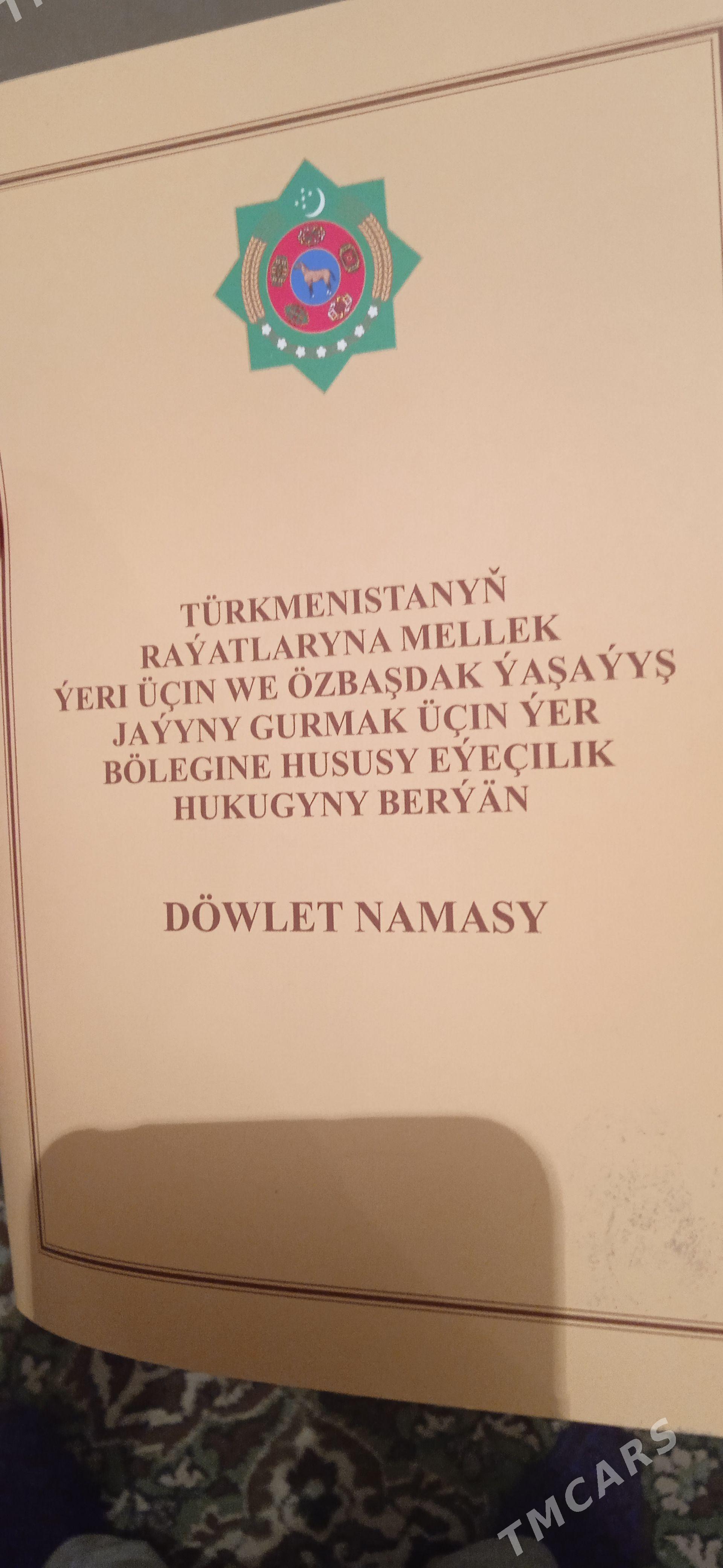 EYESINDE SATLYK JAY - Дашогуз - img 1