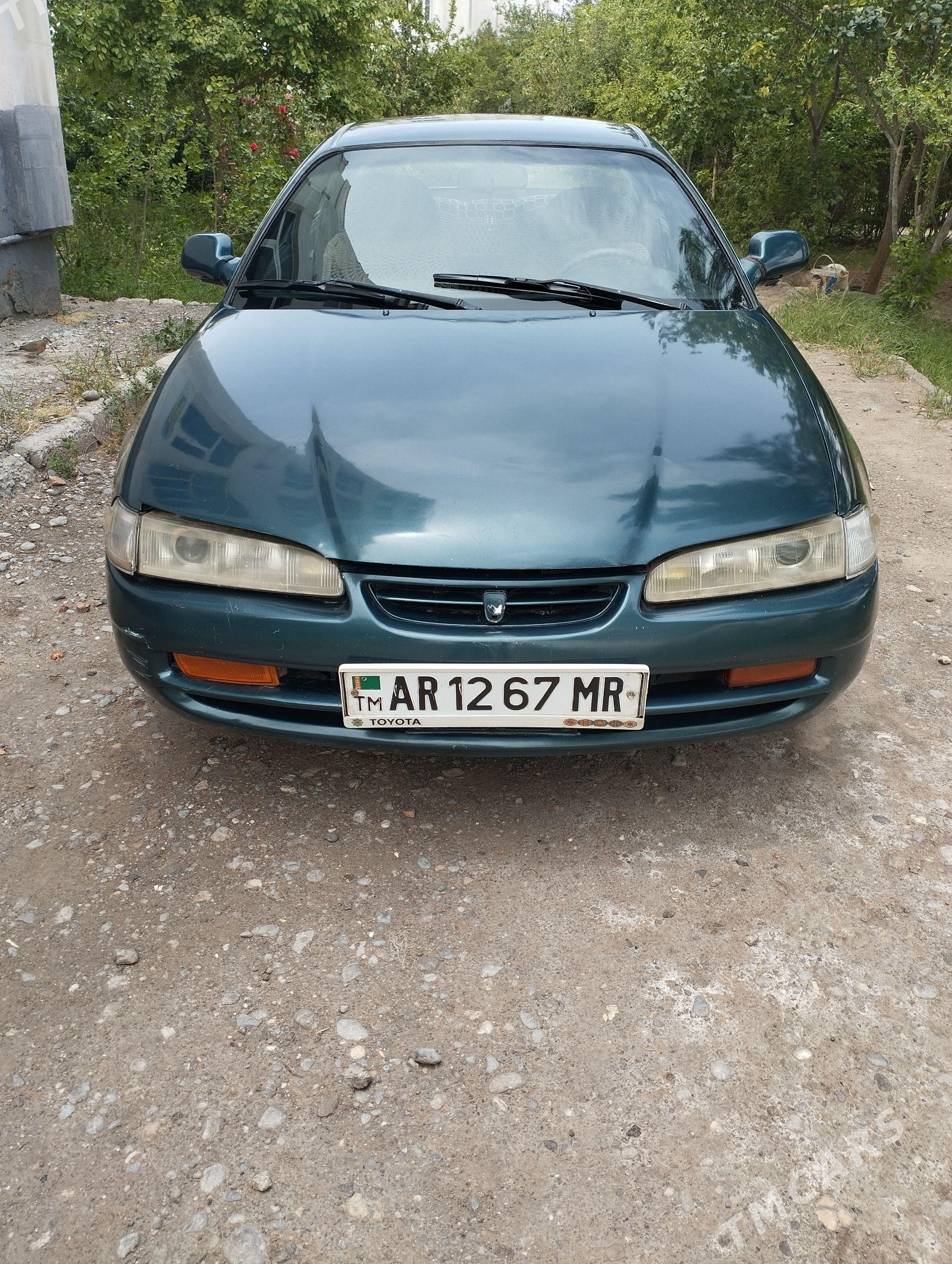 Toyota Marino 1993 - 47 000 TMT - Mary - img 1