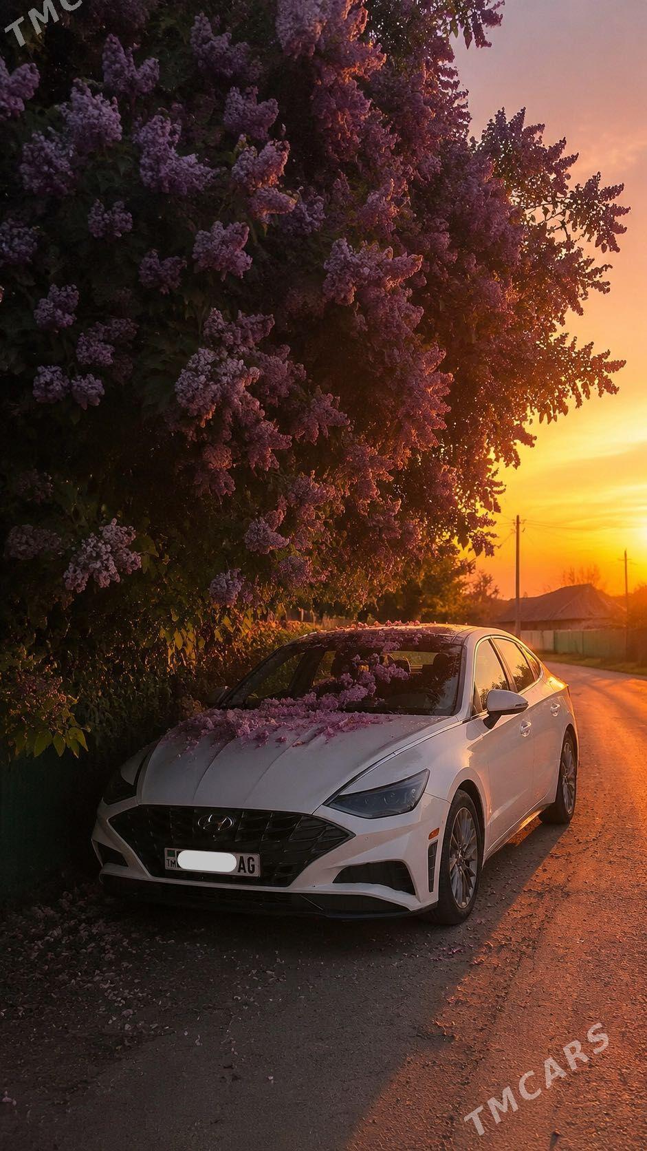 Hyundai Sonata 2021 - 335 000 TMT - Ашхабад - img 1