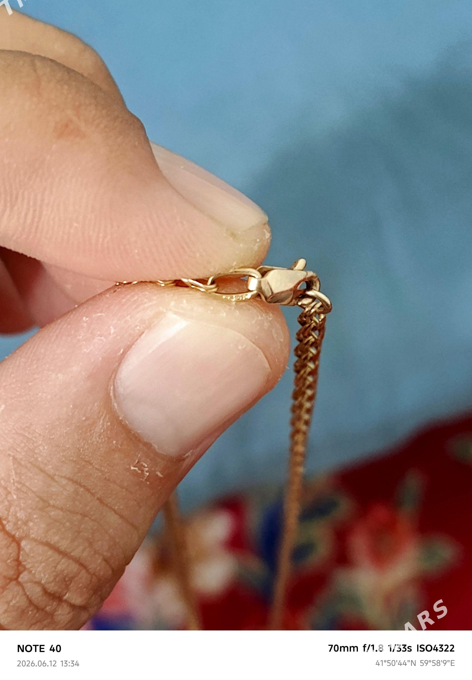 Kardinal sepocka - Дашогуз - img 1