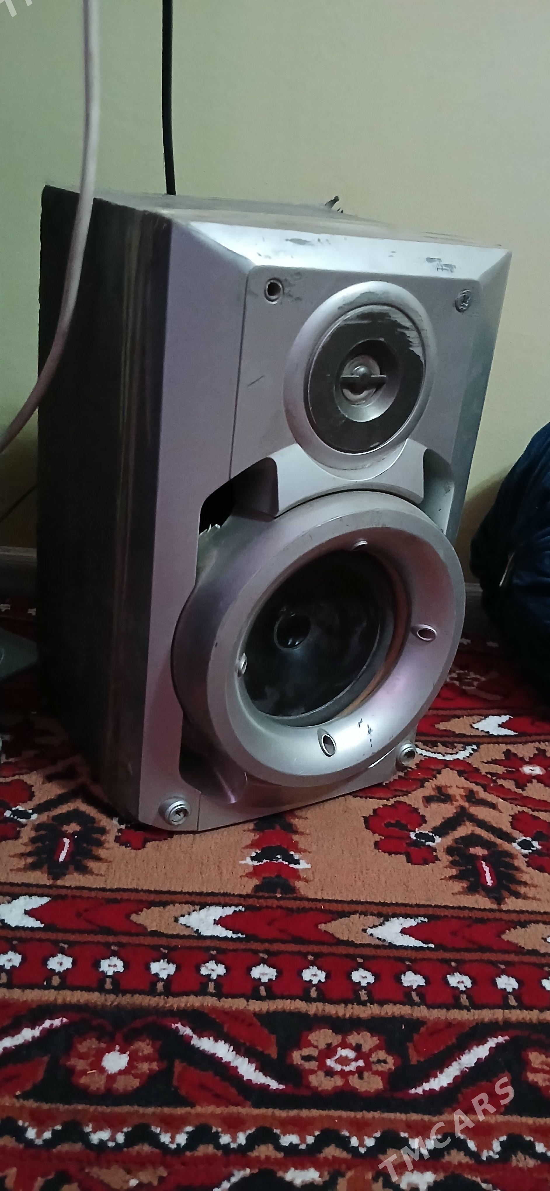 pioneer maytfon - Daşoguz - img 1