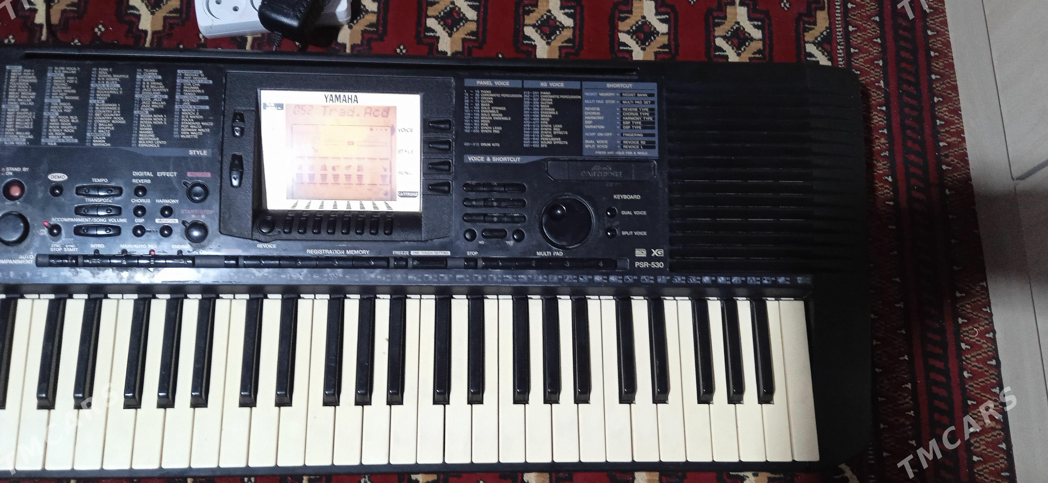 Yamaha 530 - Mary - img 1