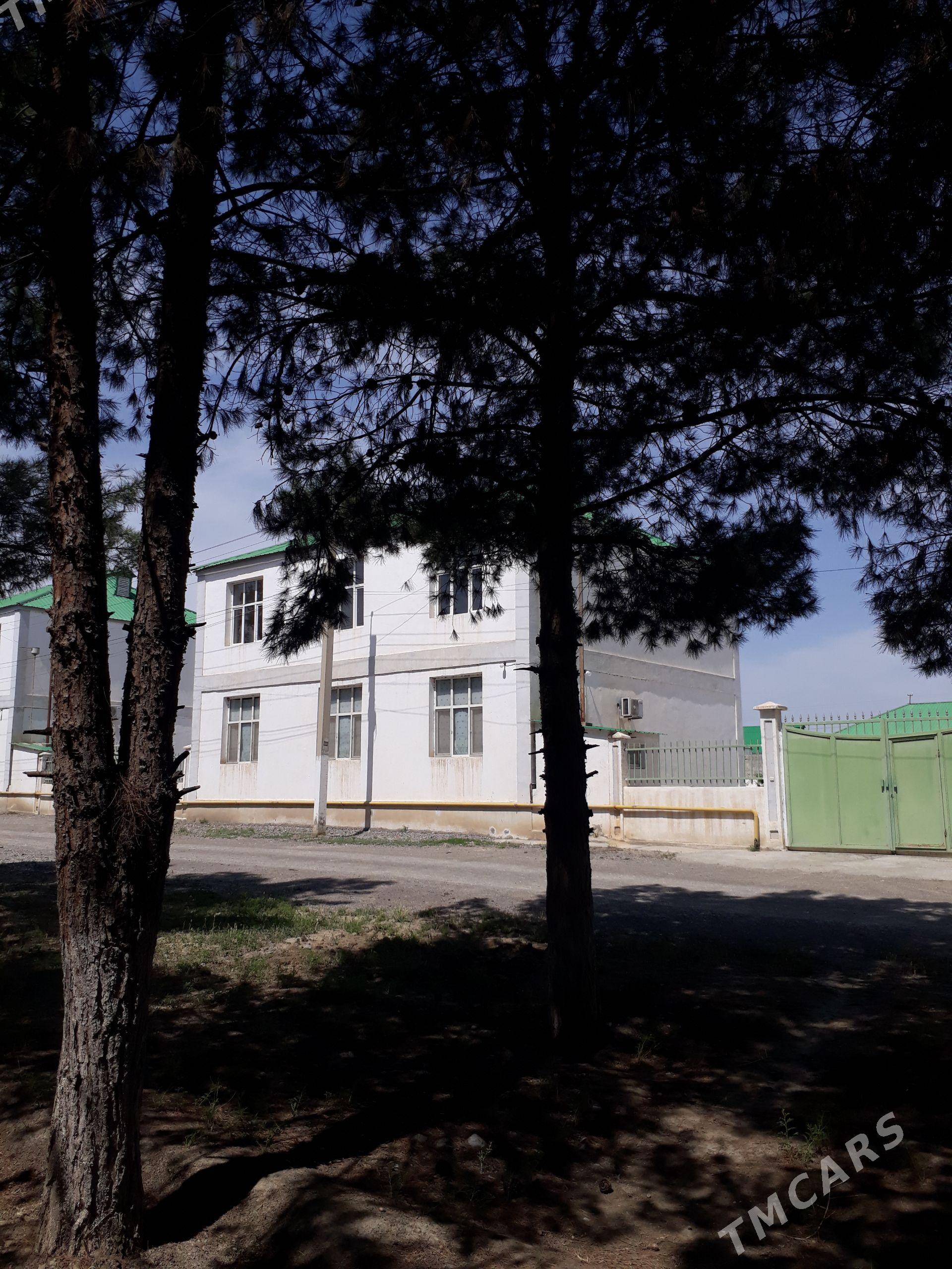 Gökdepe satlyk kottež - Гёкдепе - img 1