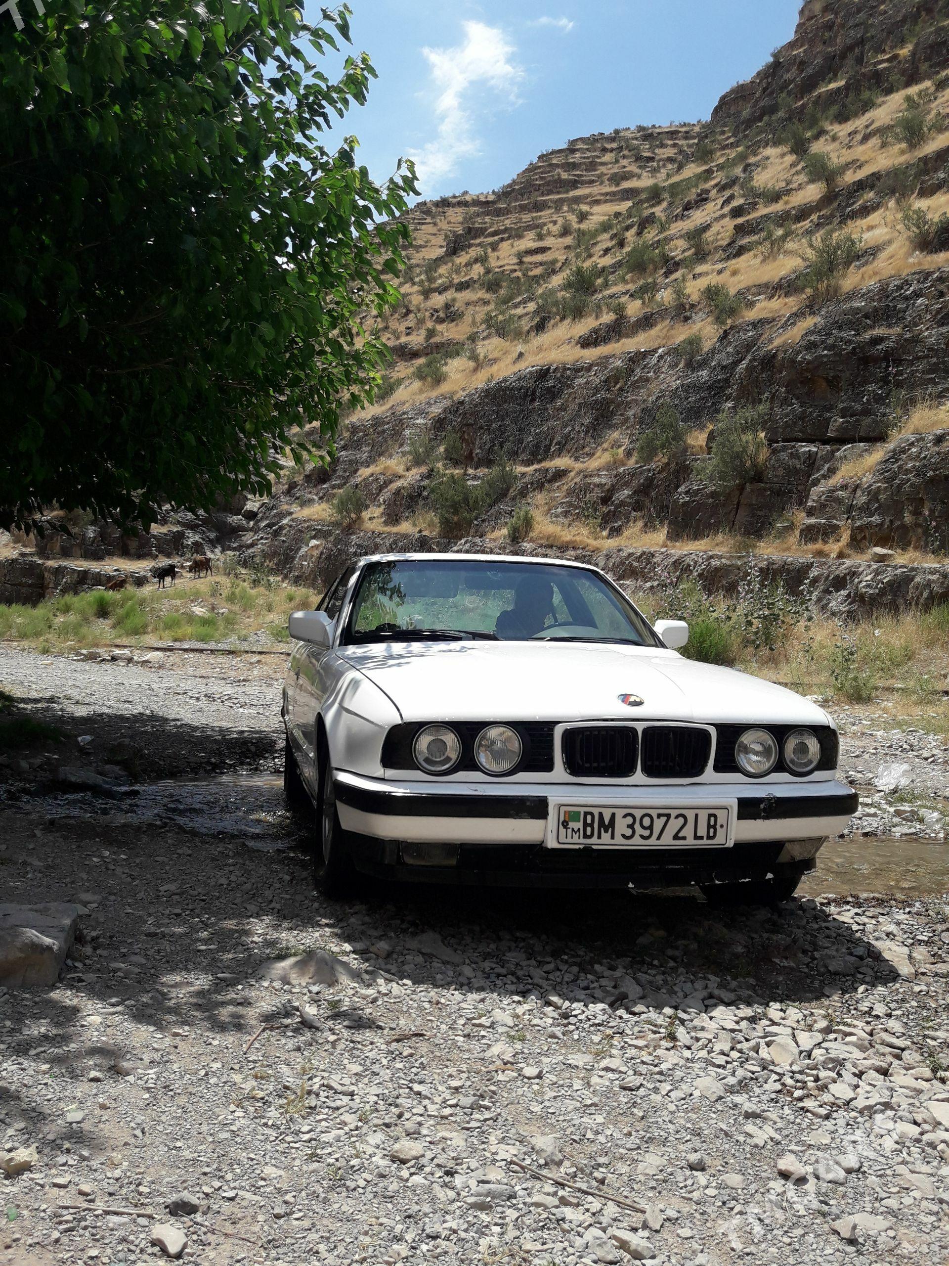 BMW 520 1991 - 38 000 TMT - Magdanly - img 1