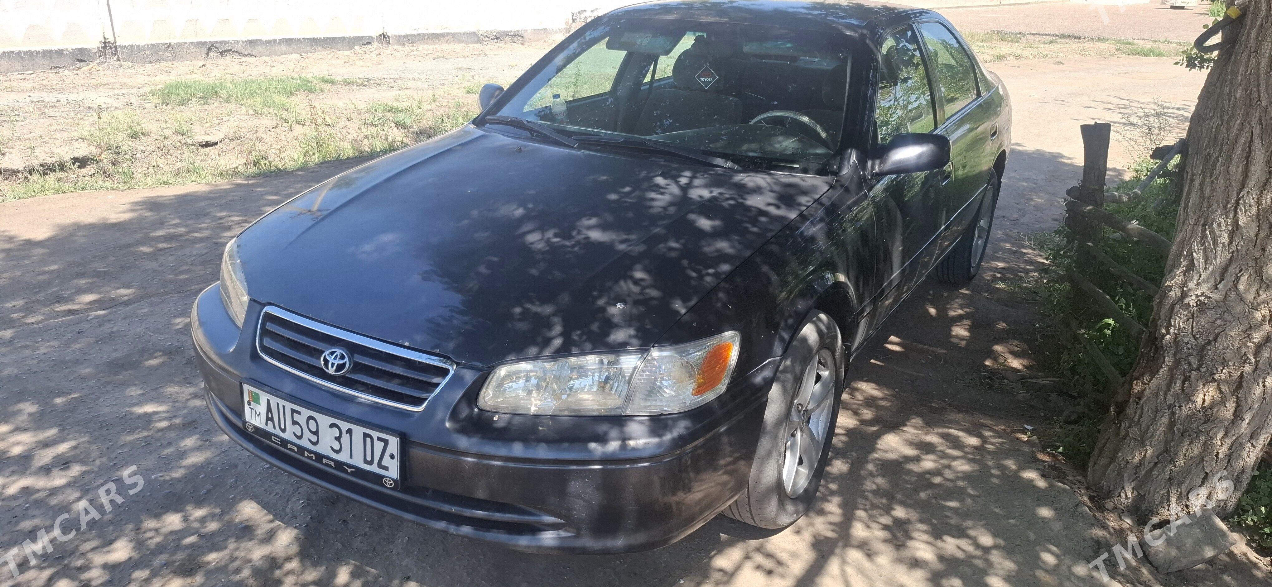 Toyota Camry 2000 - 160 000 TMT - Гороглы (Тагта) - img 1