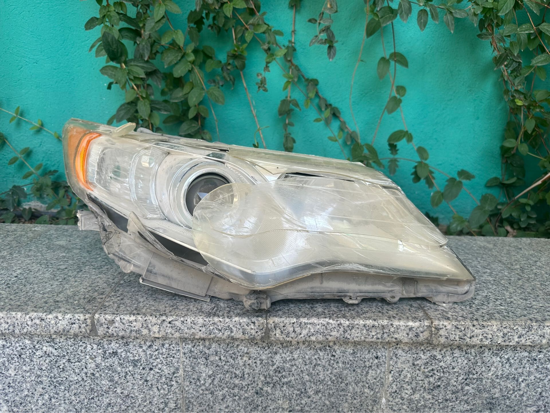 palta fara 100 TMT - Aşgabat - img 1