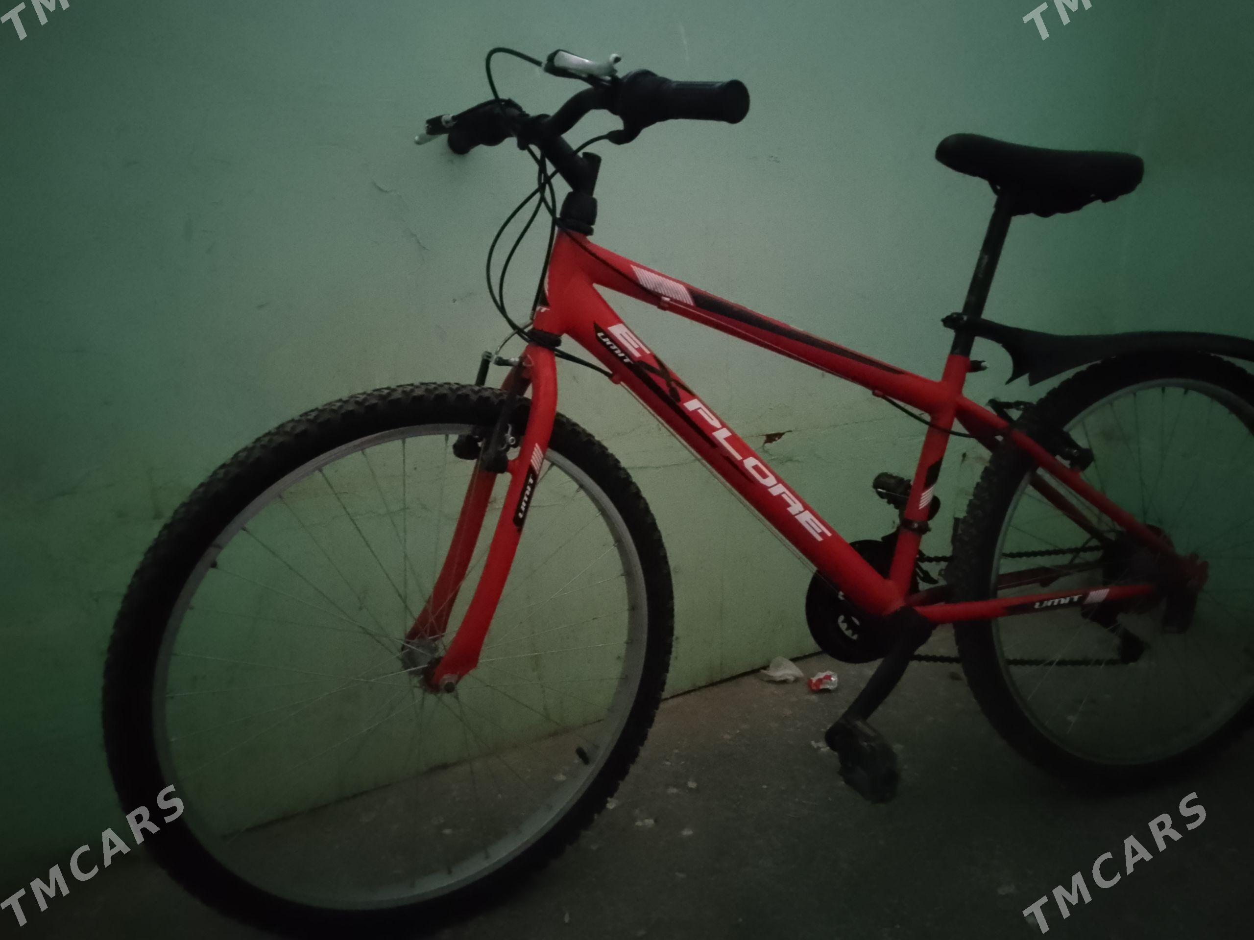 tigir - 30 mkr - img 1
