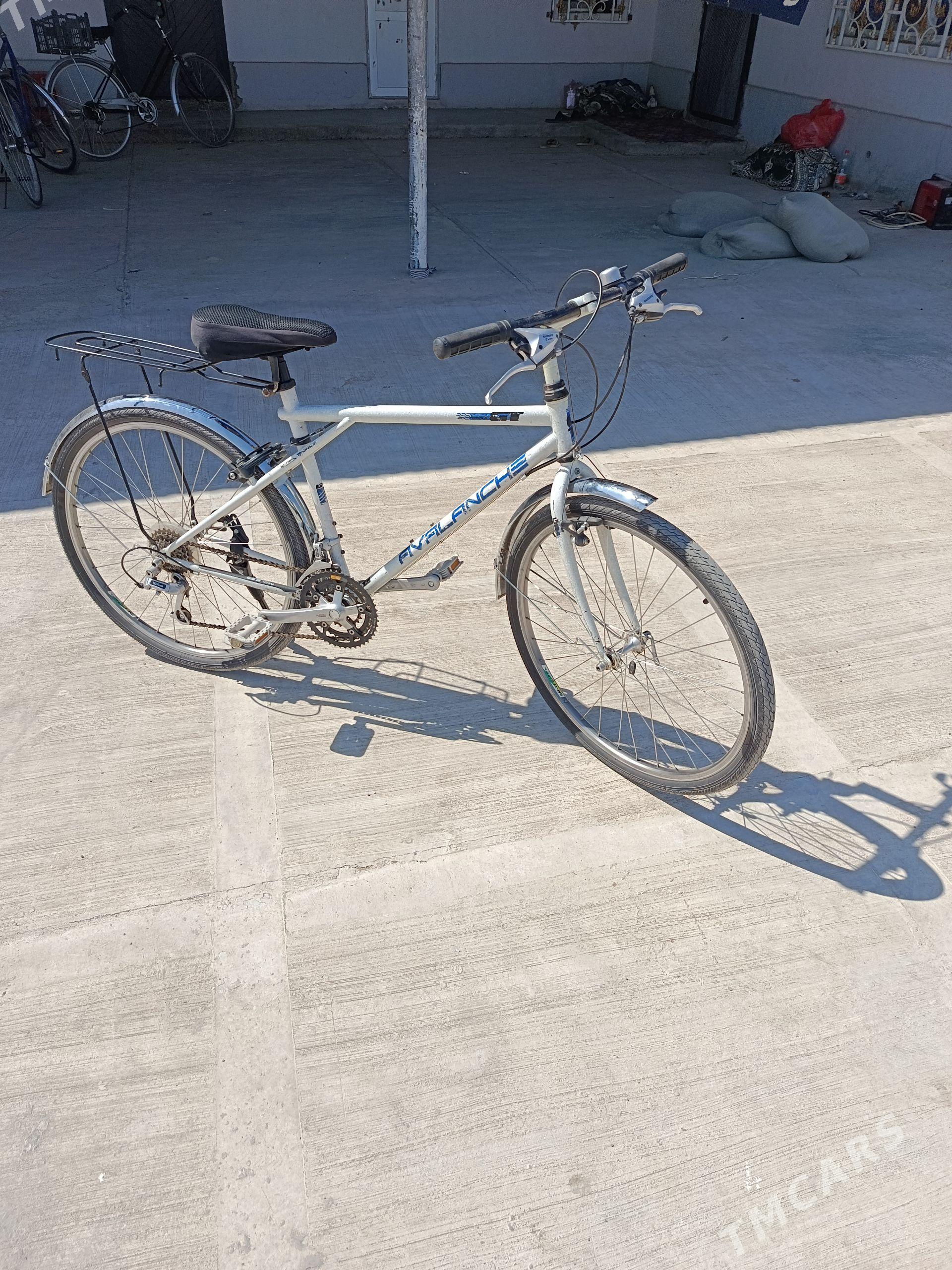 velosibet - Tejen - img 1