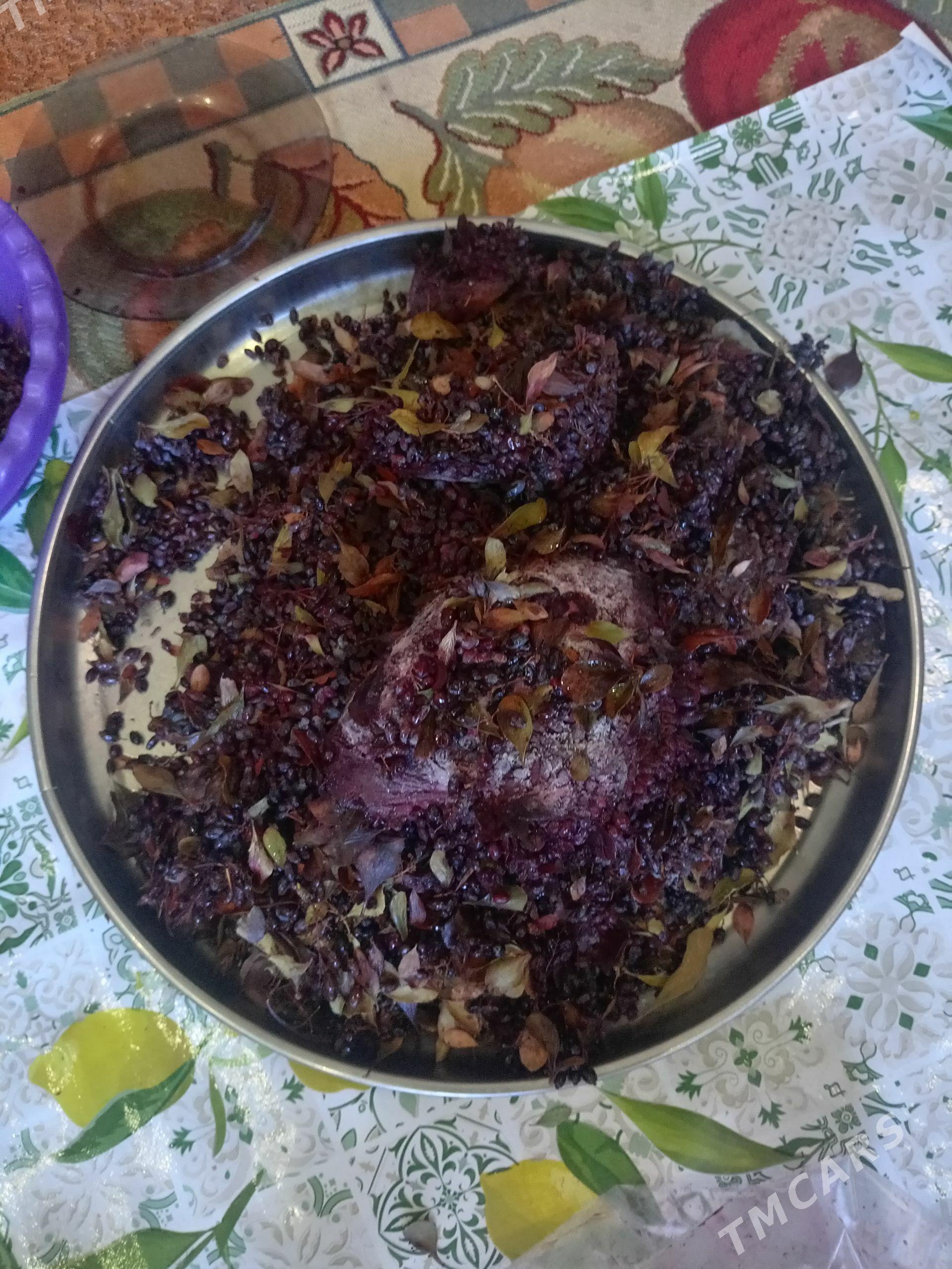 Barbaris zirk - Balkanabat - img 1