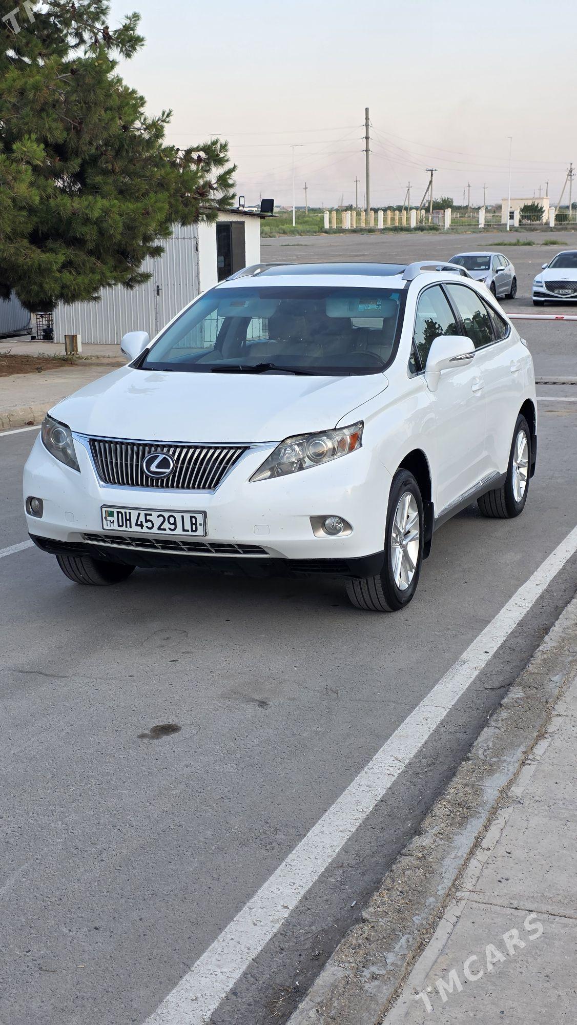 Lexus RX 350 2010 - 380 000 TMT - Türkmenabat - img 1