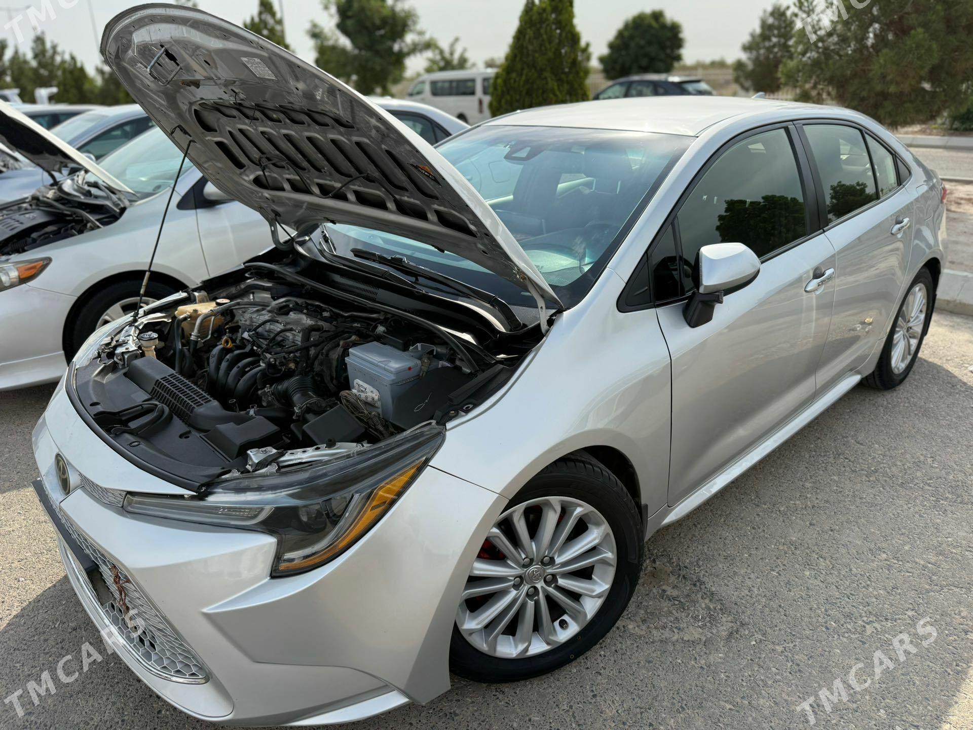 Toyota Corolla 2020 - 250 000 TMT - Türkmenabat - img 1