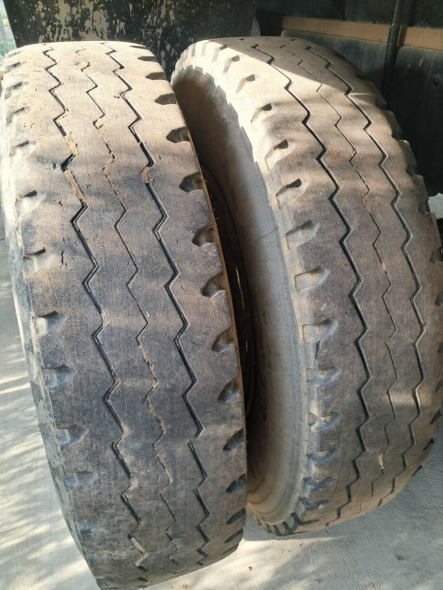 teker 800 TMT - Köneürgenç - img 1
