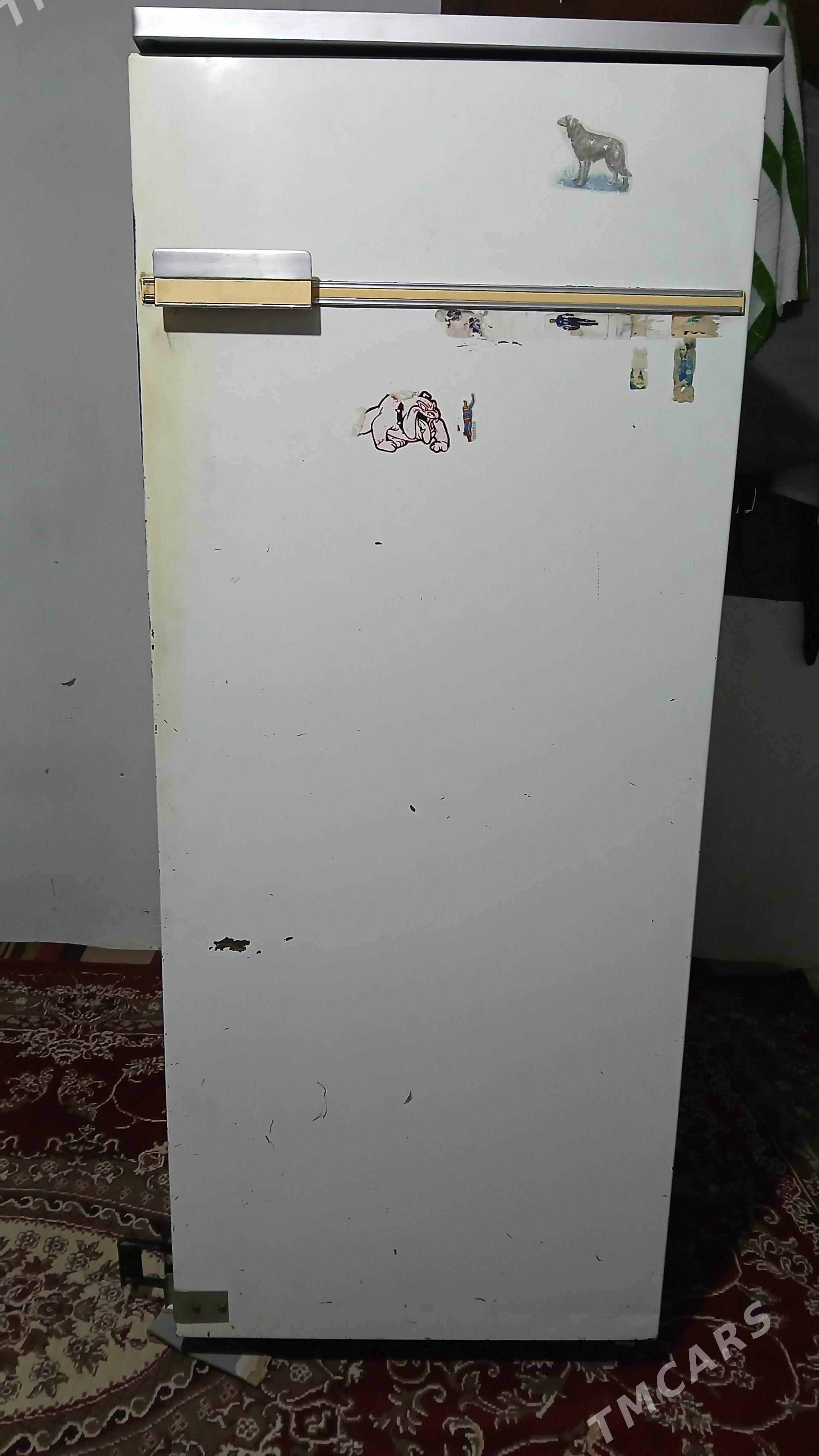 halaidilnik - Aşgabat - img 1