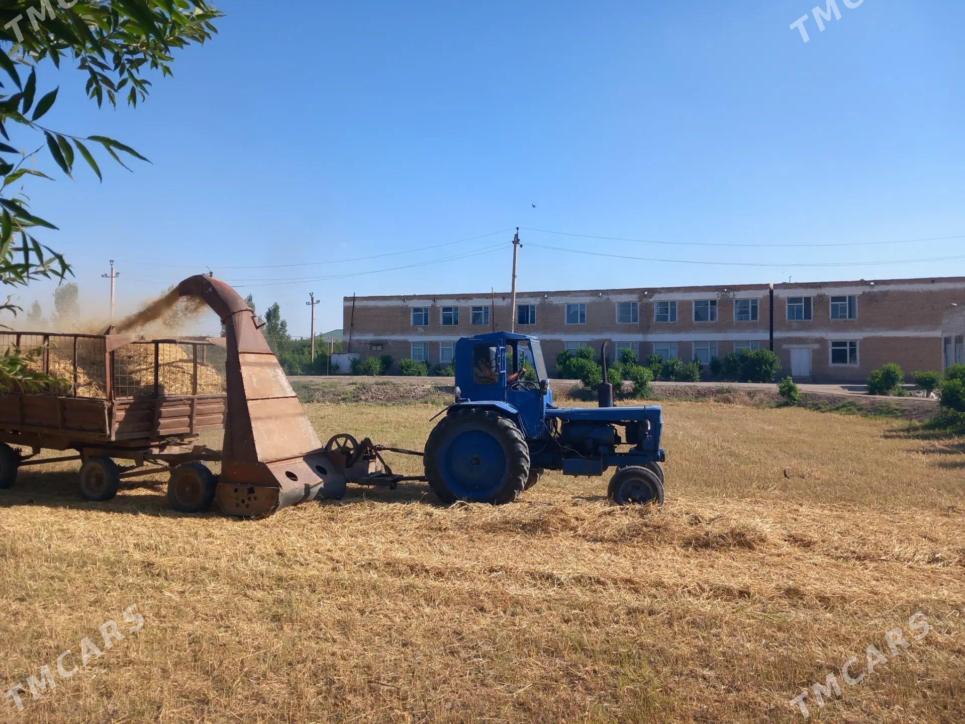 MTZ T-28 2000 - 70 000 TMT - Şabat etr. - img 1