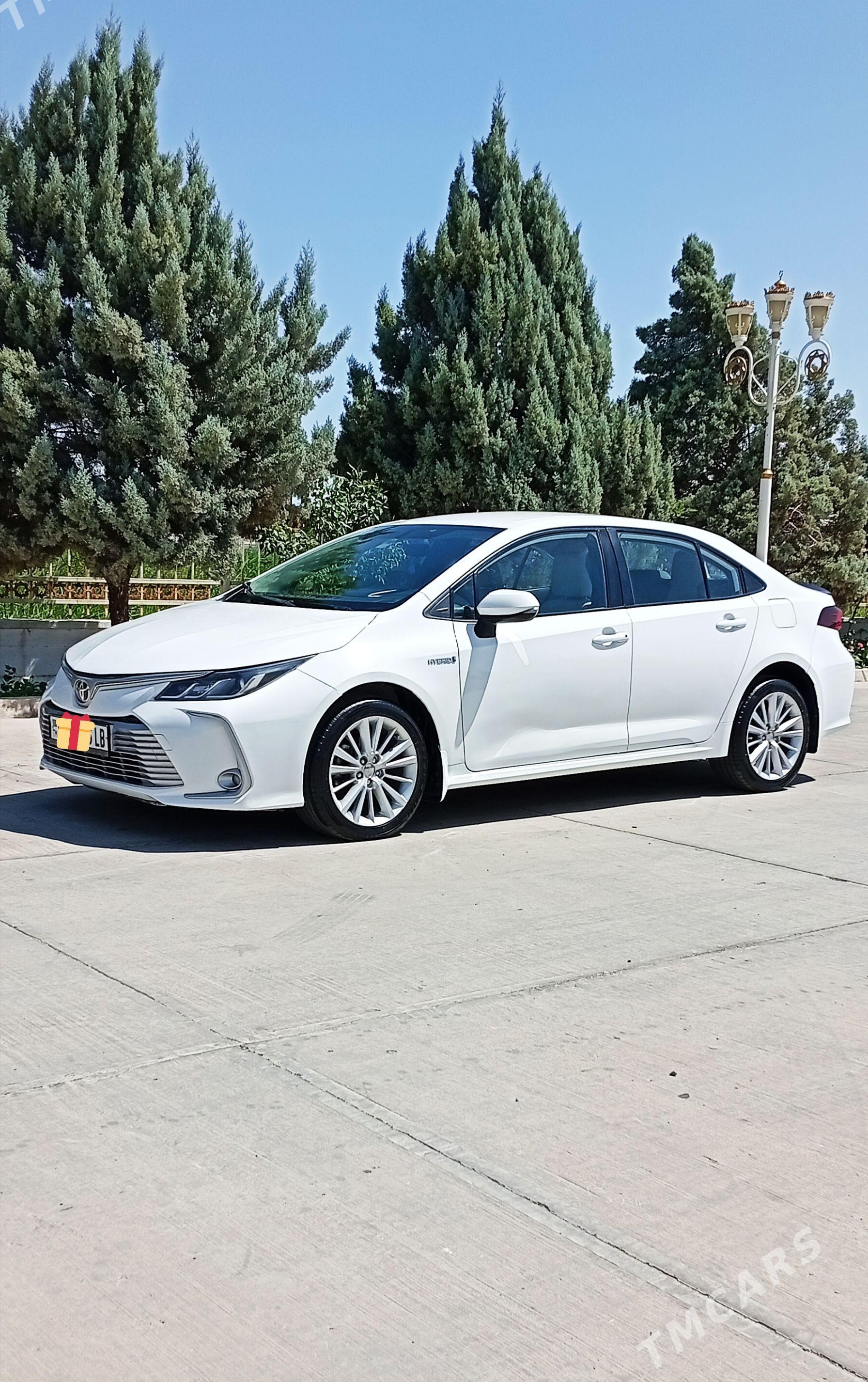 Toyota Corolla 2021 - 222 000 TMT - Туркменабат - img 1