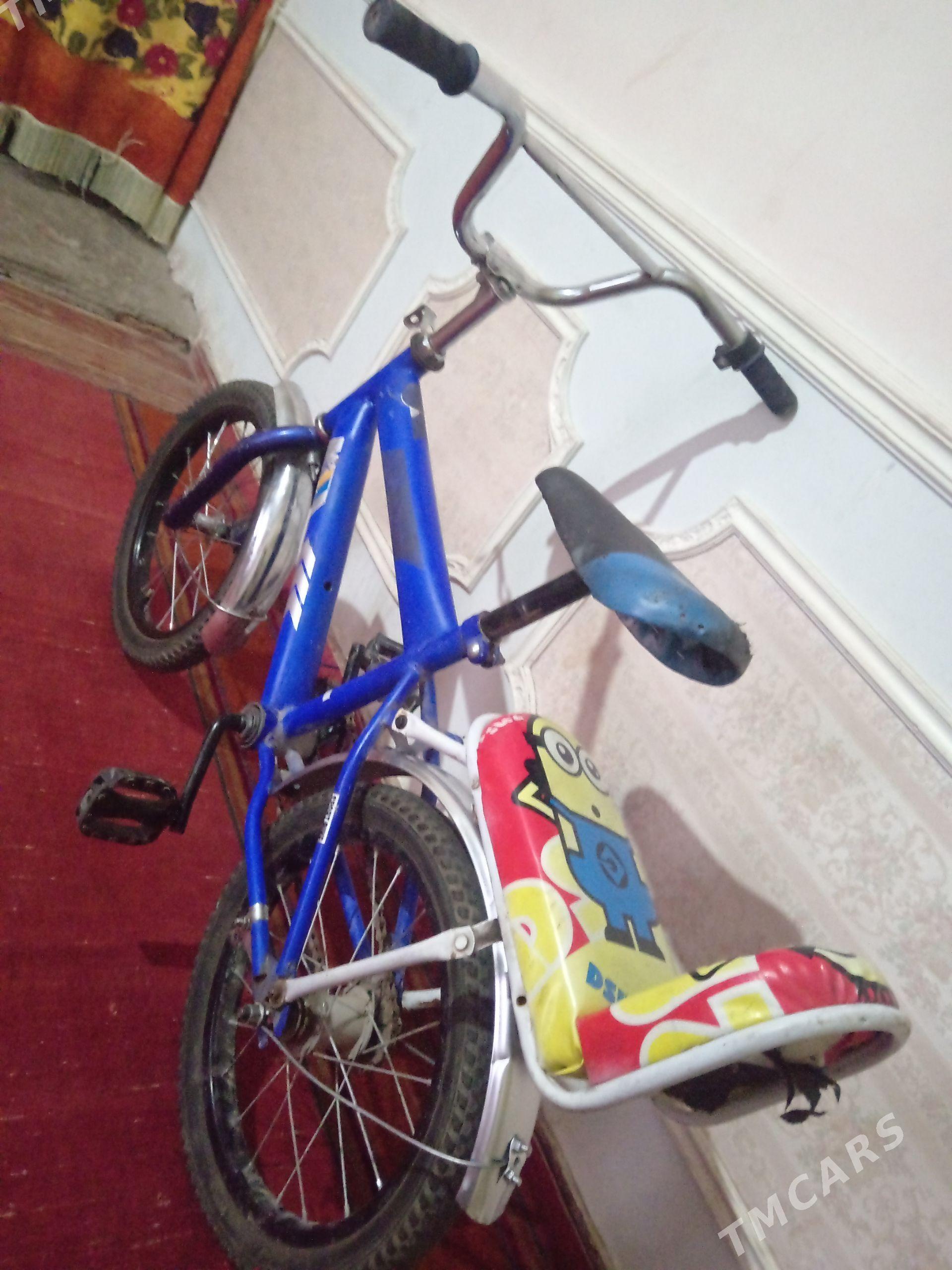 Welsepet 16lyk - Дашогуз - img 1