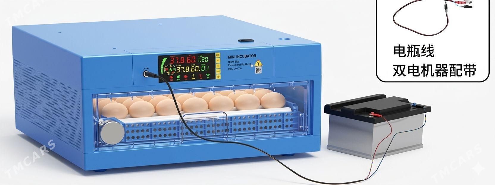 Inkubatorlar/инкубатор - Гызыларбат - img 1