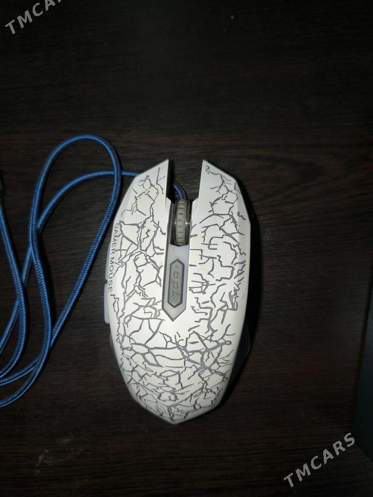 мышка usb - Şabat etr. - img 1