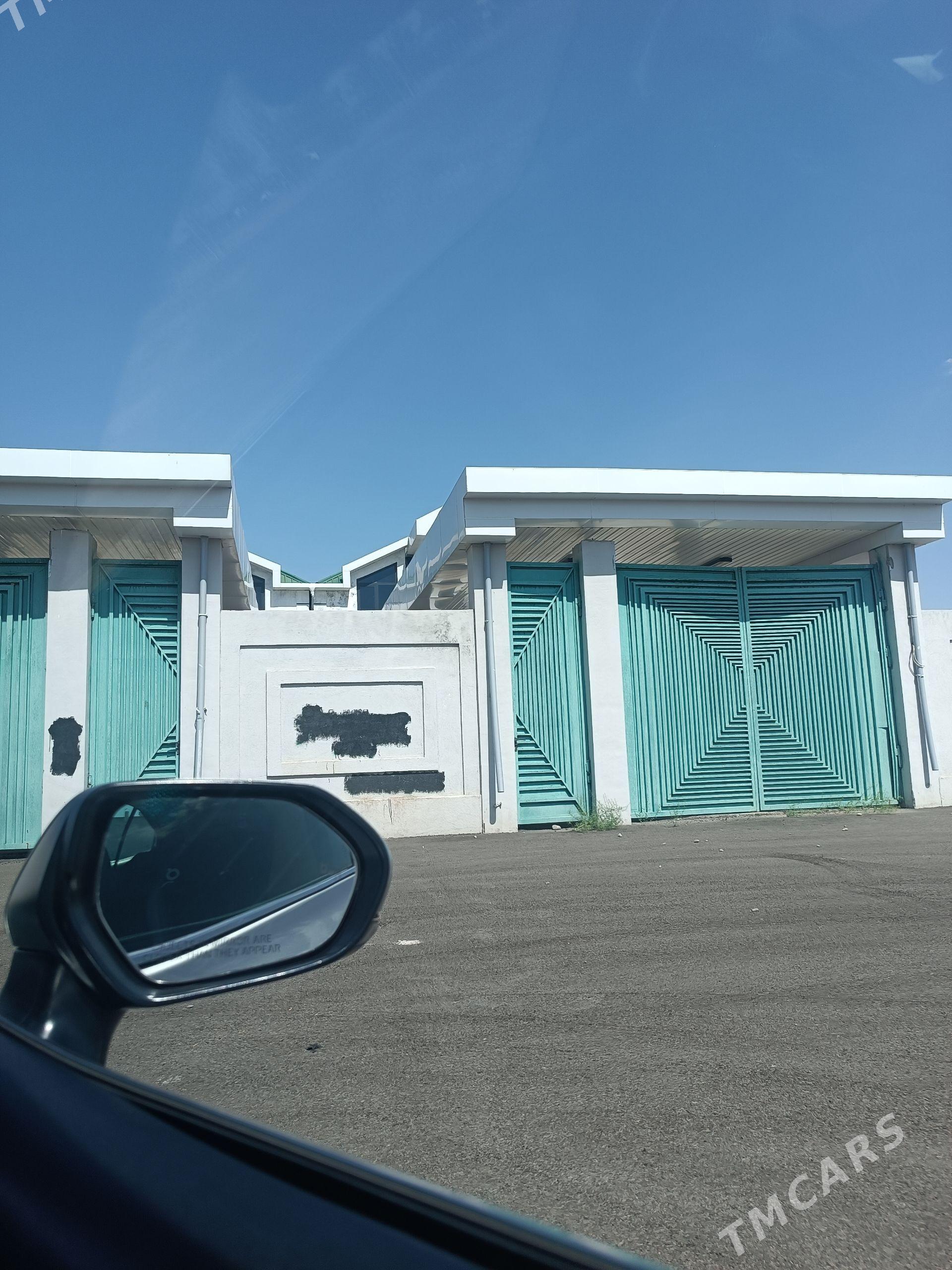 kotej - Aşgabat - img 1