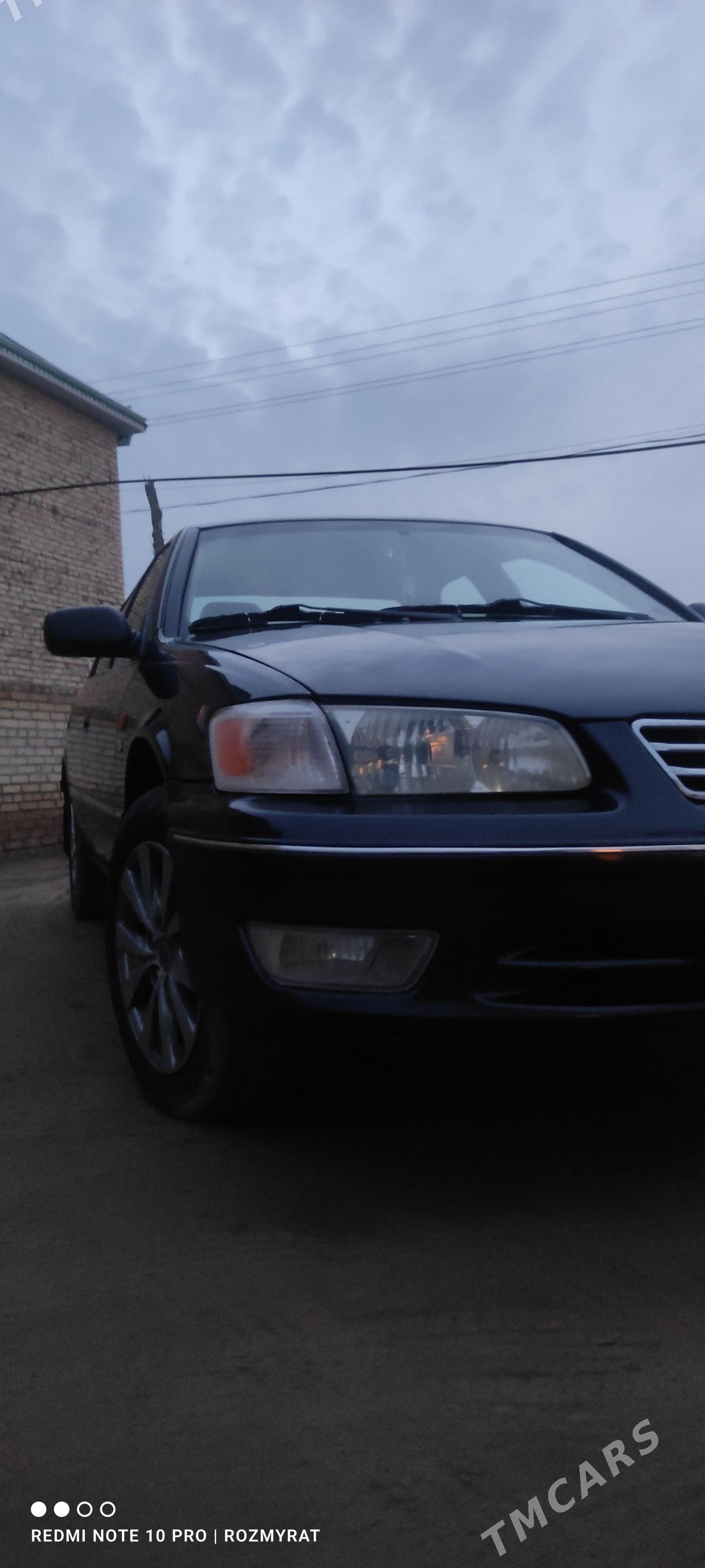 Toyota Camry 2001 - 150 000 TMT - Халач - img 1