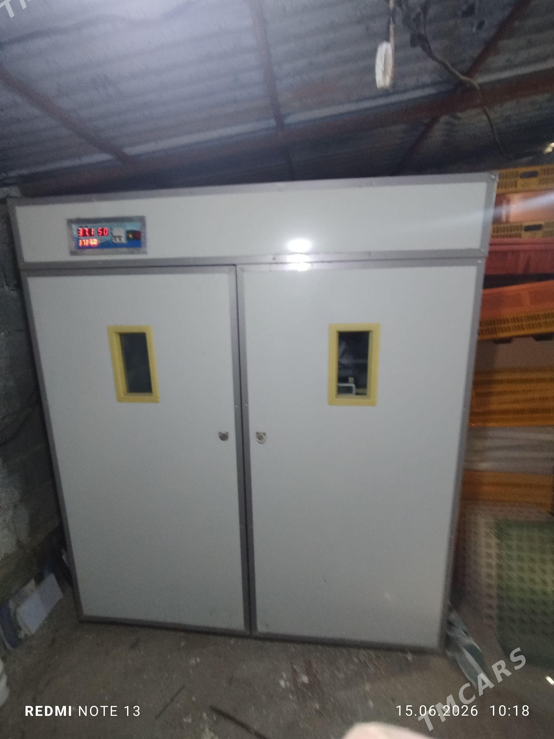 enkubator inkubator инкубатор - Aşgabat - img 1
