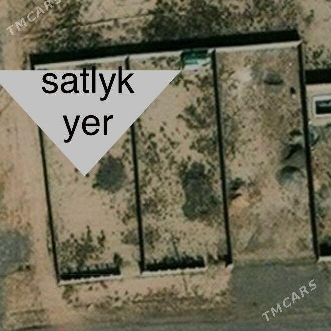 ucasga jay yer - Kaka - img 1