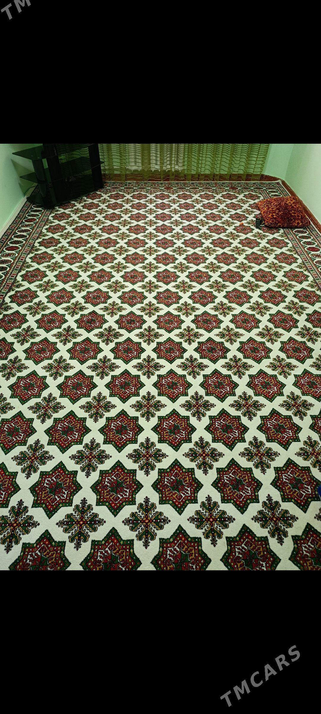 Haly - Daşoguz - img 1