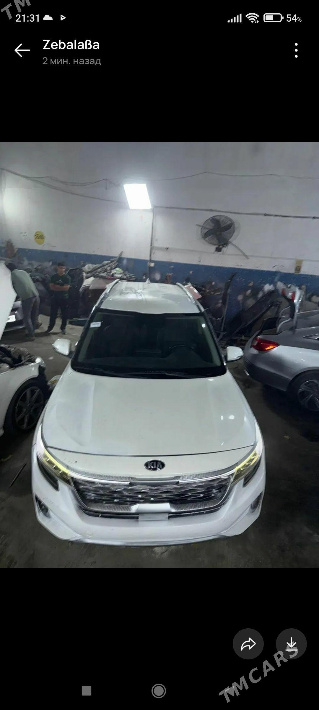 Kia Seltos 2022 - 265 000 TMT - Mary - img 1
