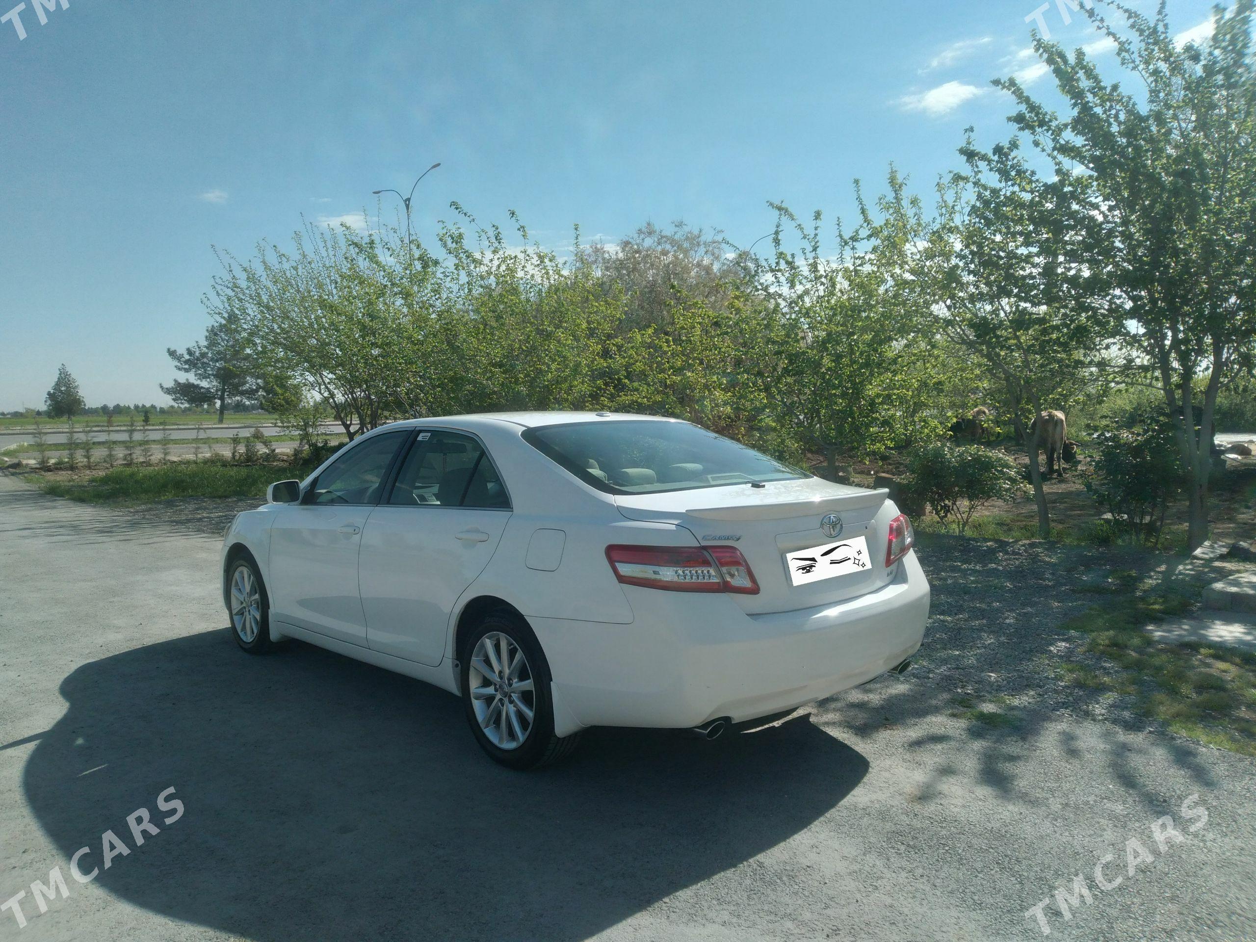 Toyota Camry 2009 - 265 000 TMT - Ашхабад - img 1