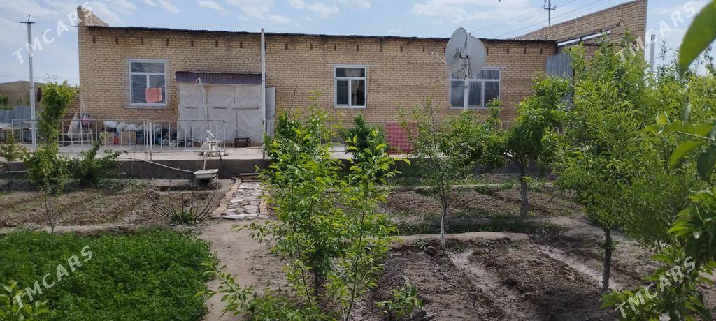 SATLYK DAÇA BERZENKANAL - Türkmenabat - img 1