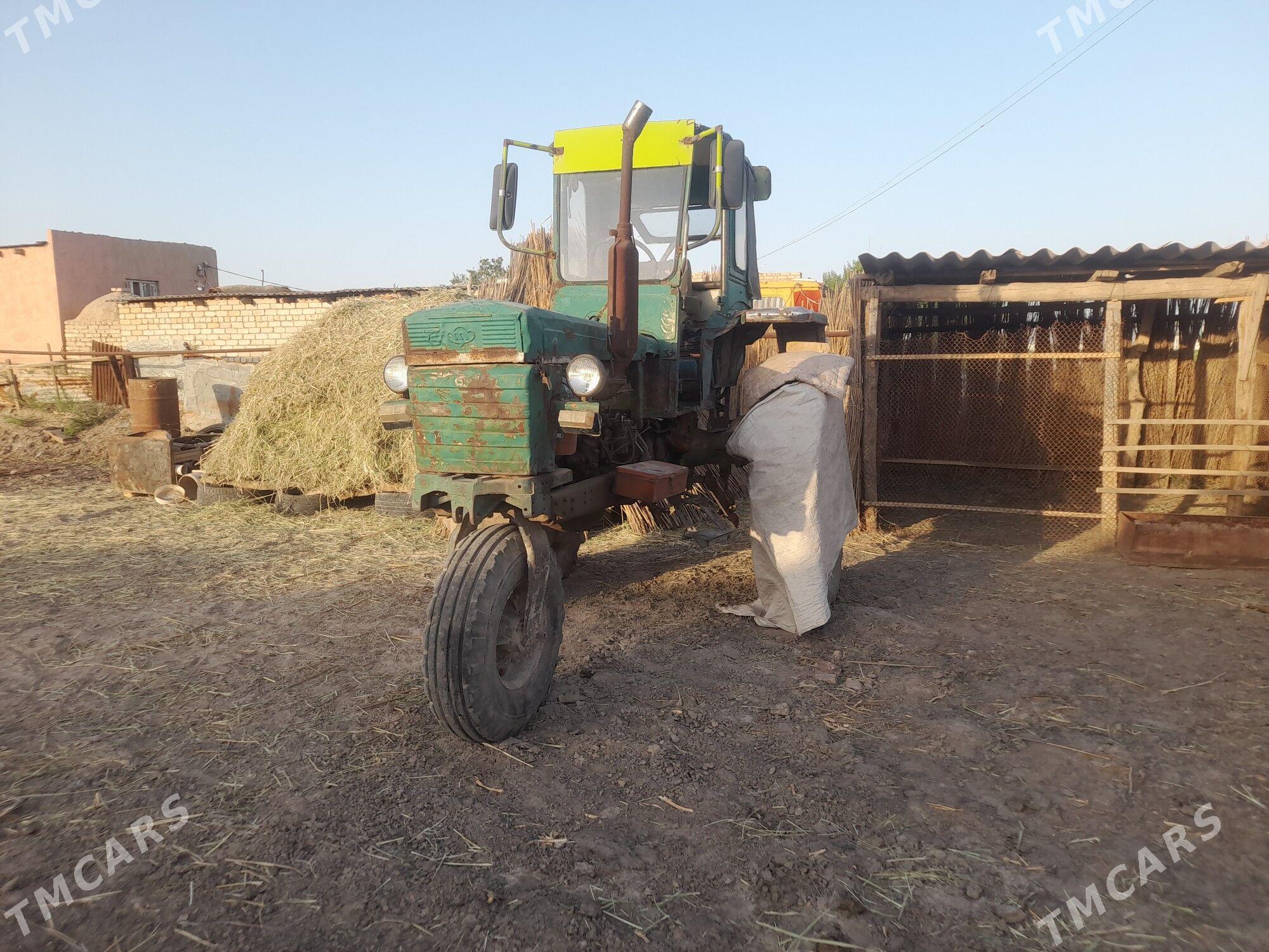 MTZ T-28 1986 - 35 000 TMT - Garagum etraby - img 1