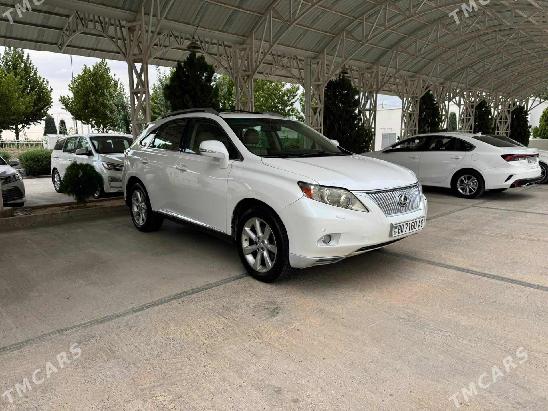 Lexus RX 350 2010 - 340 000 TMT - Ашхабад - img 1