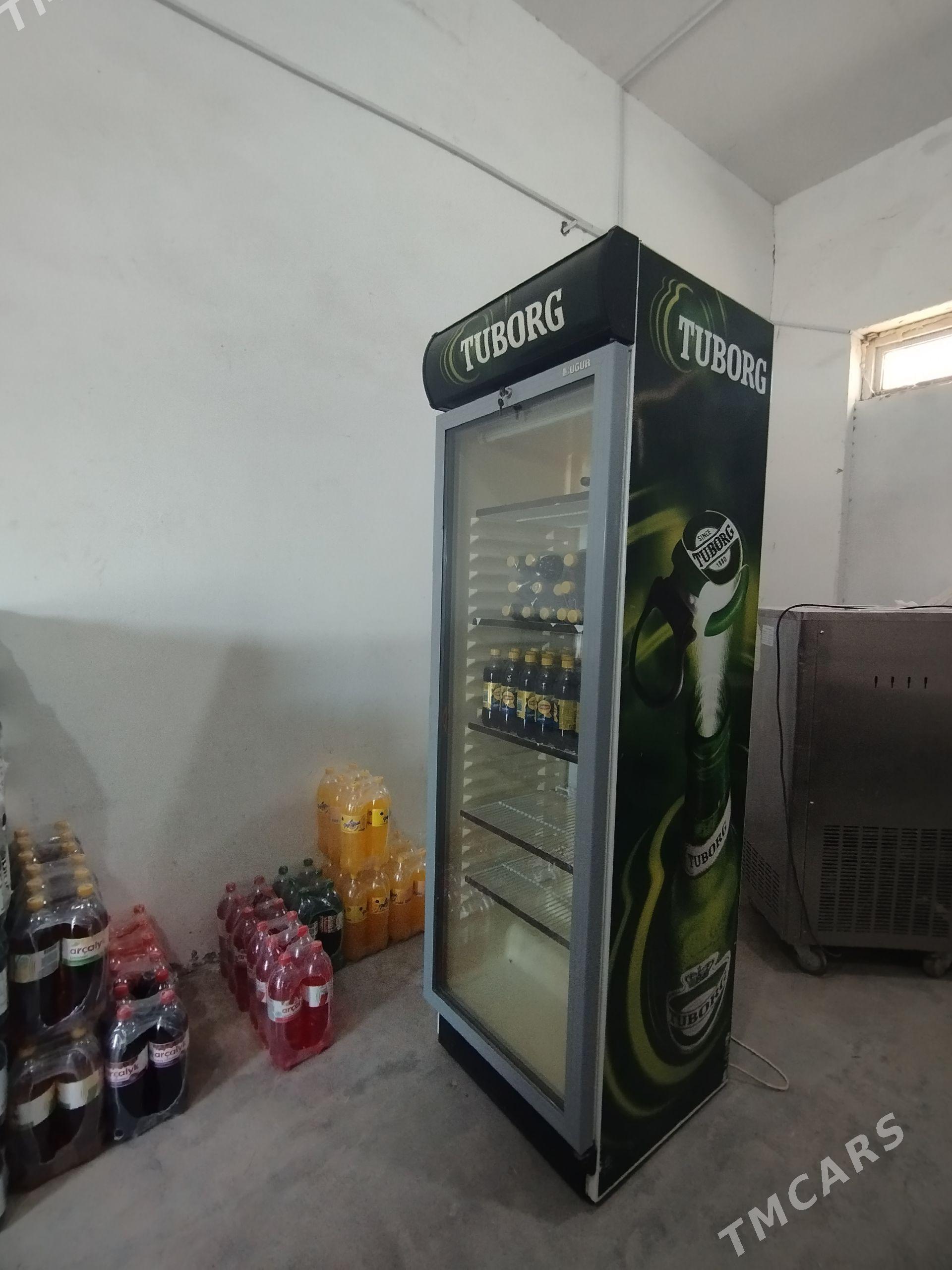 Tuborg Witrina Haladilnik - Daşoguz - img 1