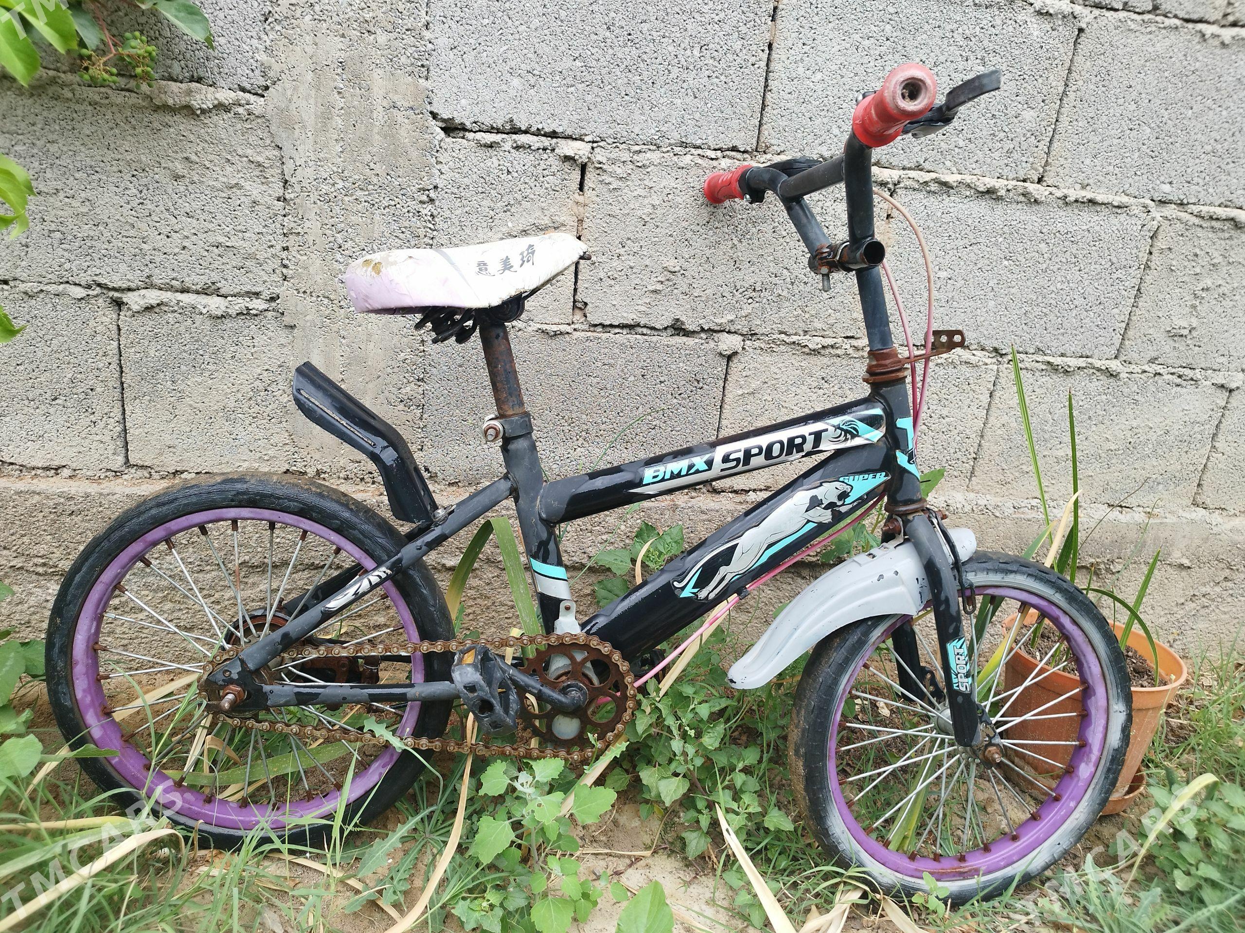 kici tigir - Arzuw - img 1