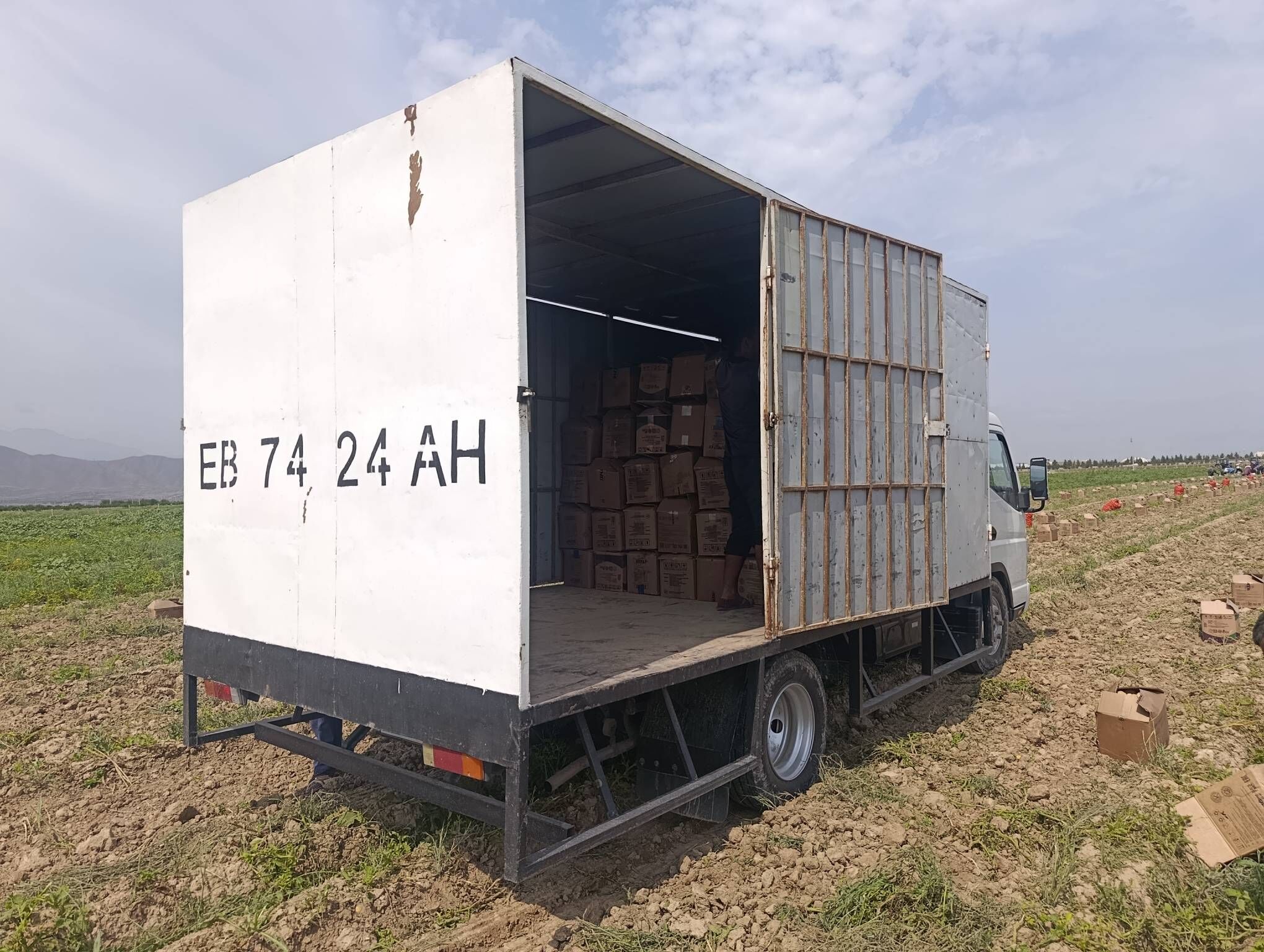 butga canterr 11 000 TMT - Tejen - img 1