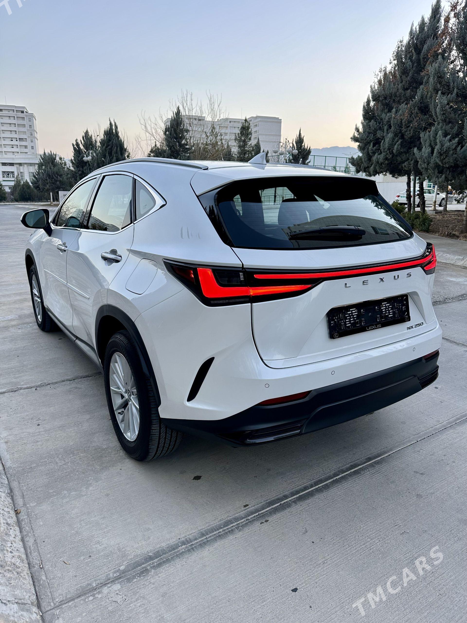 Lexus NX 2025 - 610 000 TMT - Aşgabat - img 1