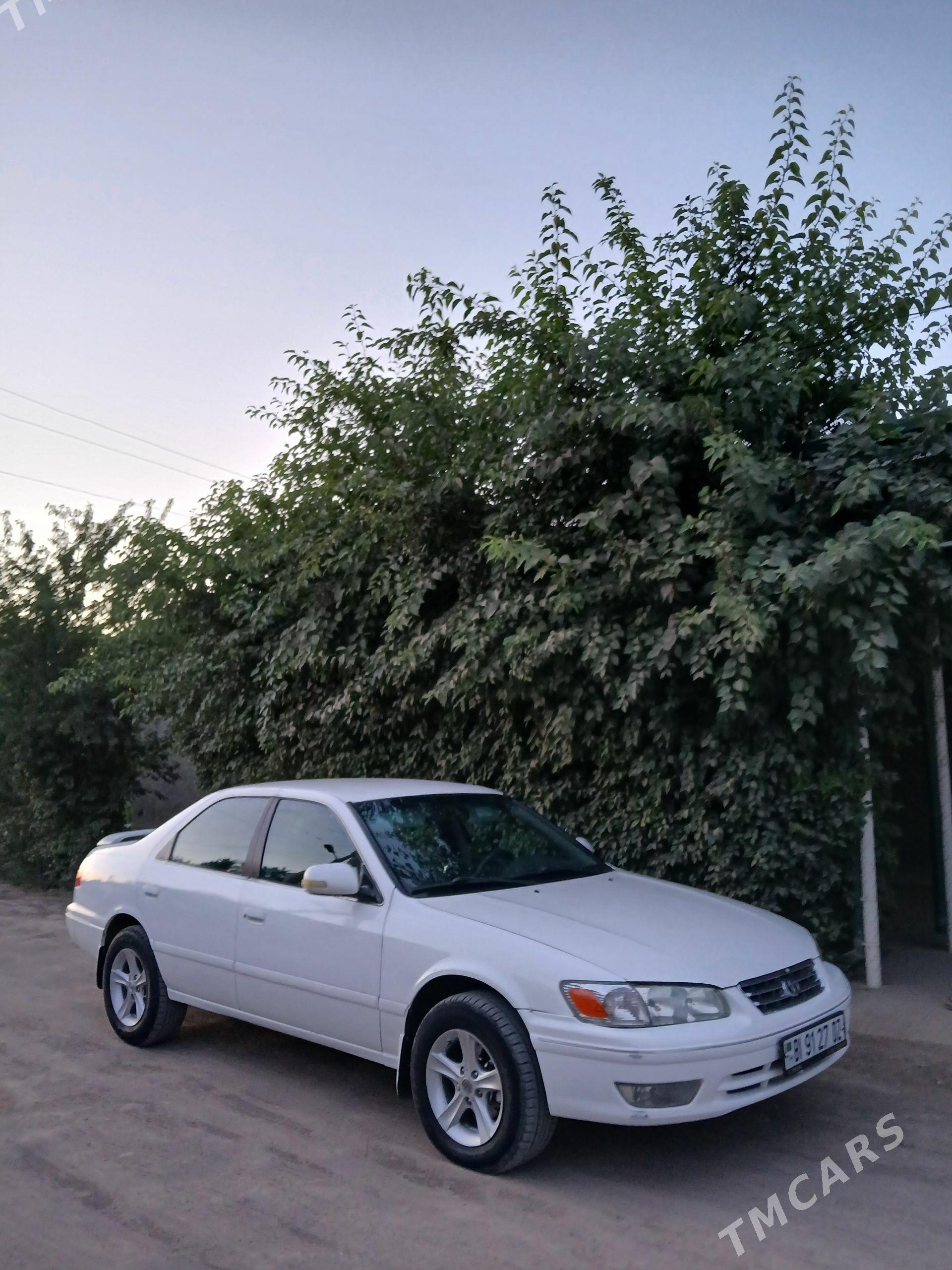 Toyota Camry 2001 - 186 000 TMT - Кёнеургенч - img 1