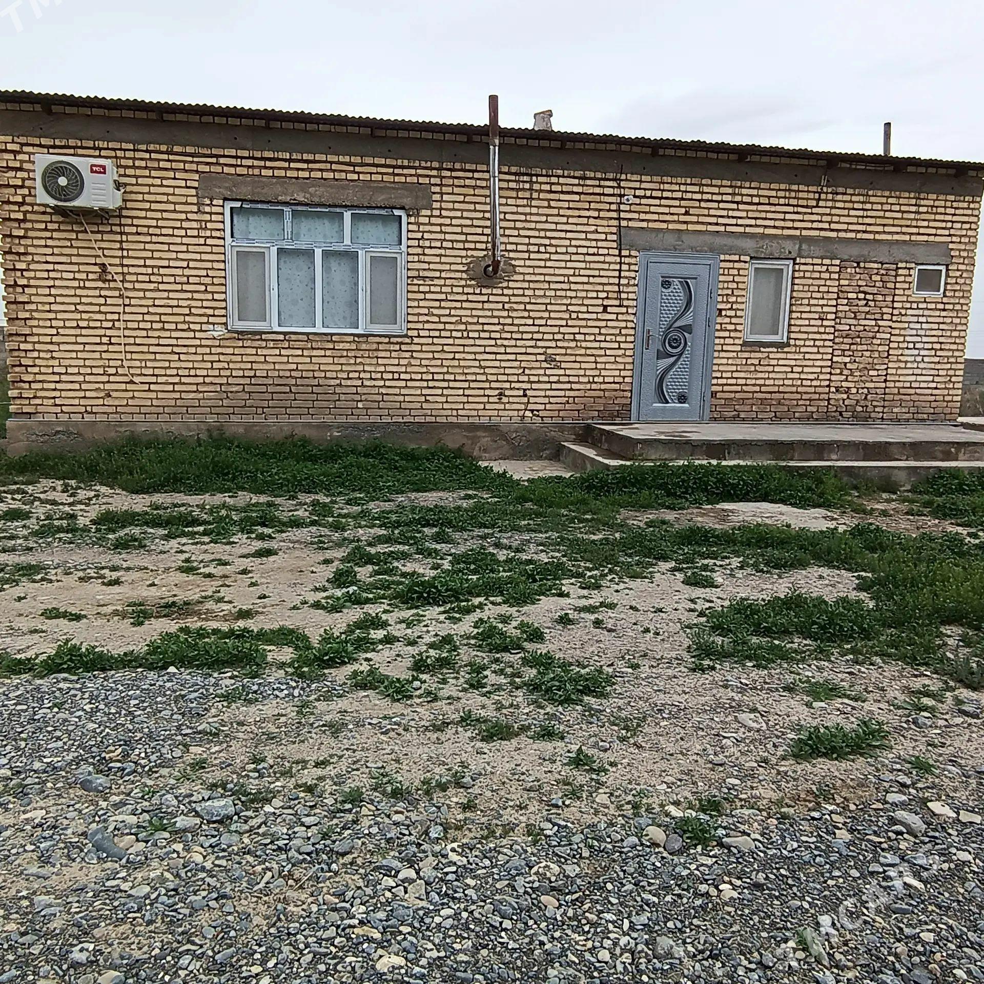 Satlyk jay - Кака - img 1