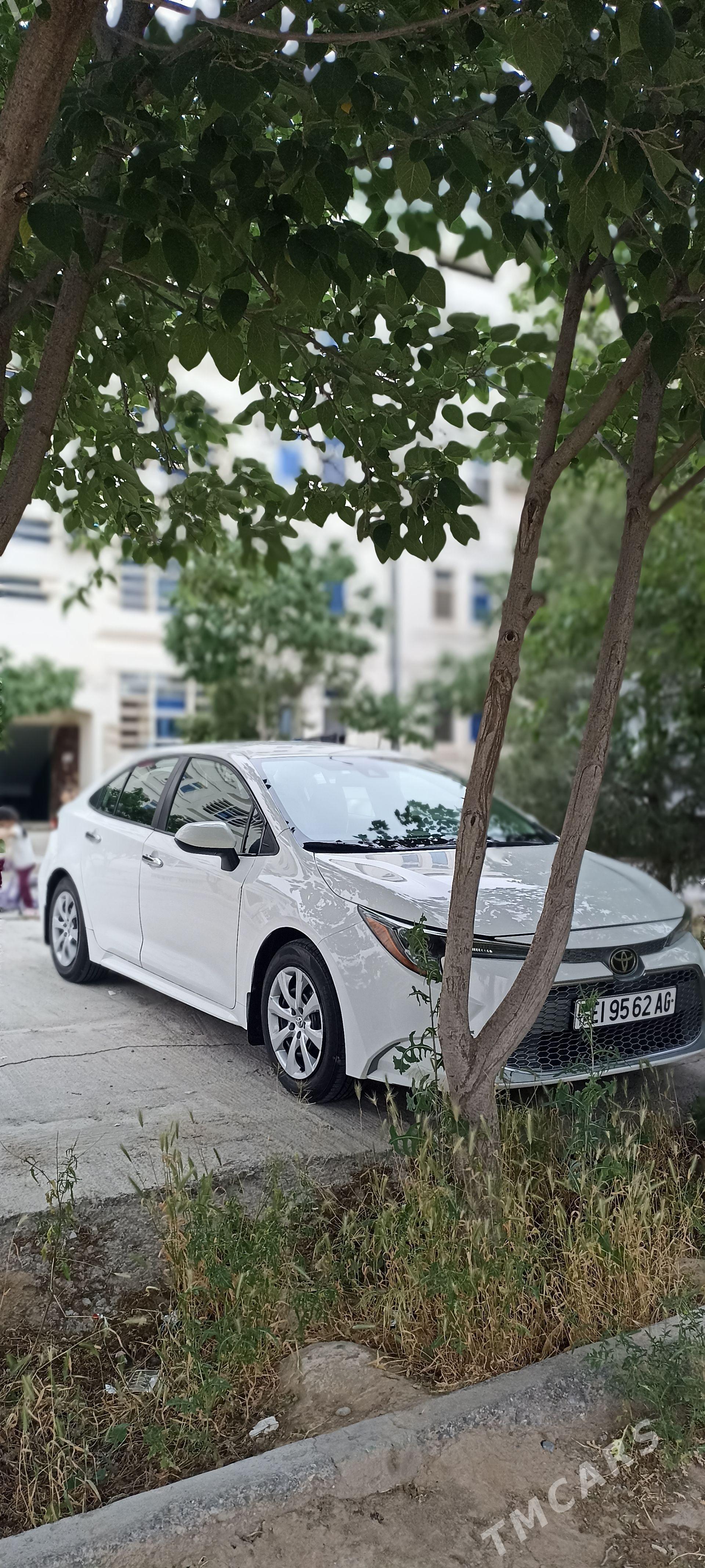 Toyota Corolla 2020 - 226 000 TMT - Бузмеин ГРЭС - img 1