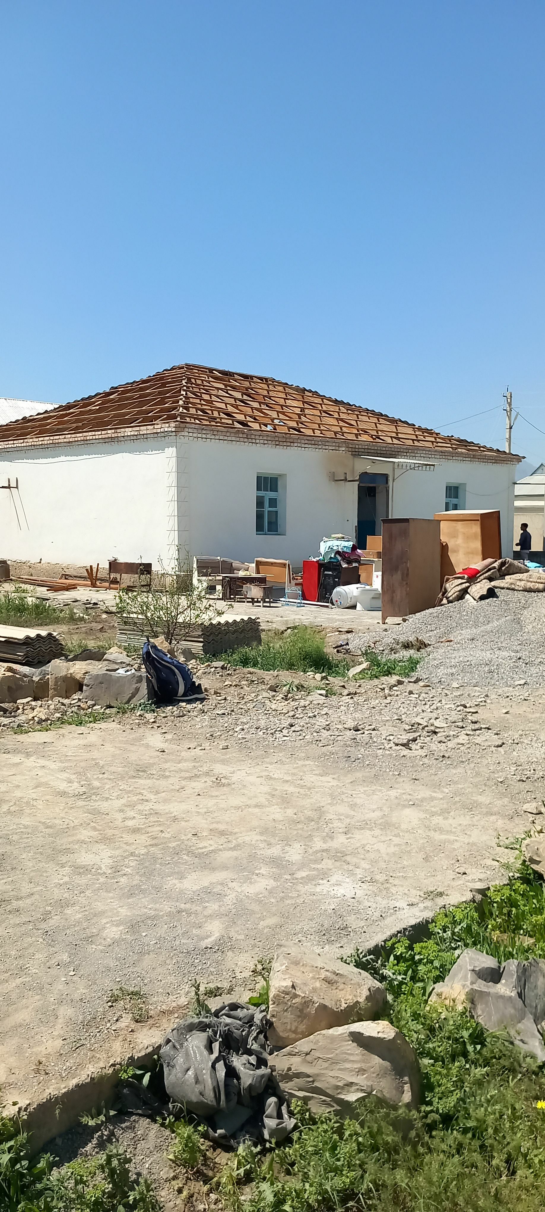 POLLYK AGAÇ ALÝAS.PURS.ŞYPYR. - Hitrowka - img 1