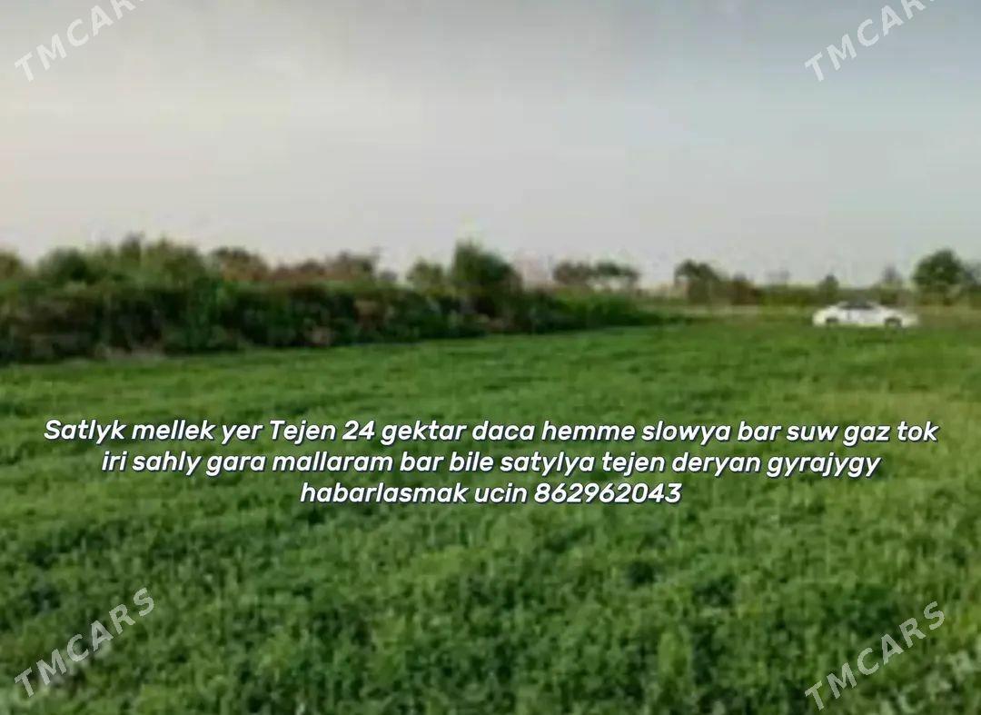 Mellek yer ekin Tejen - Tejen - img 1