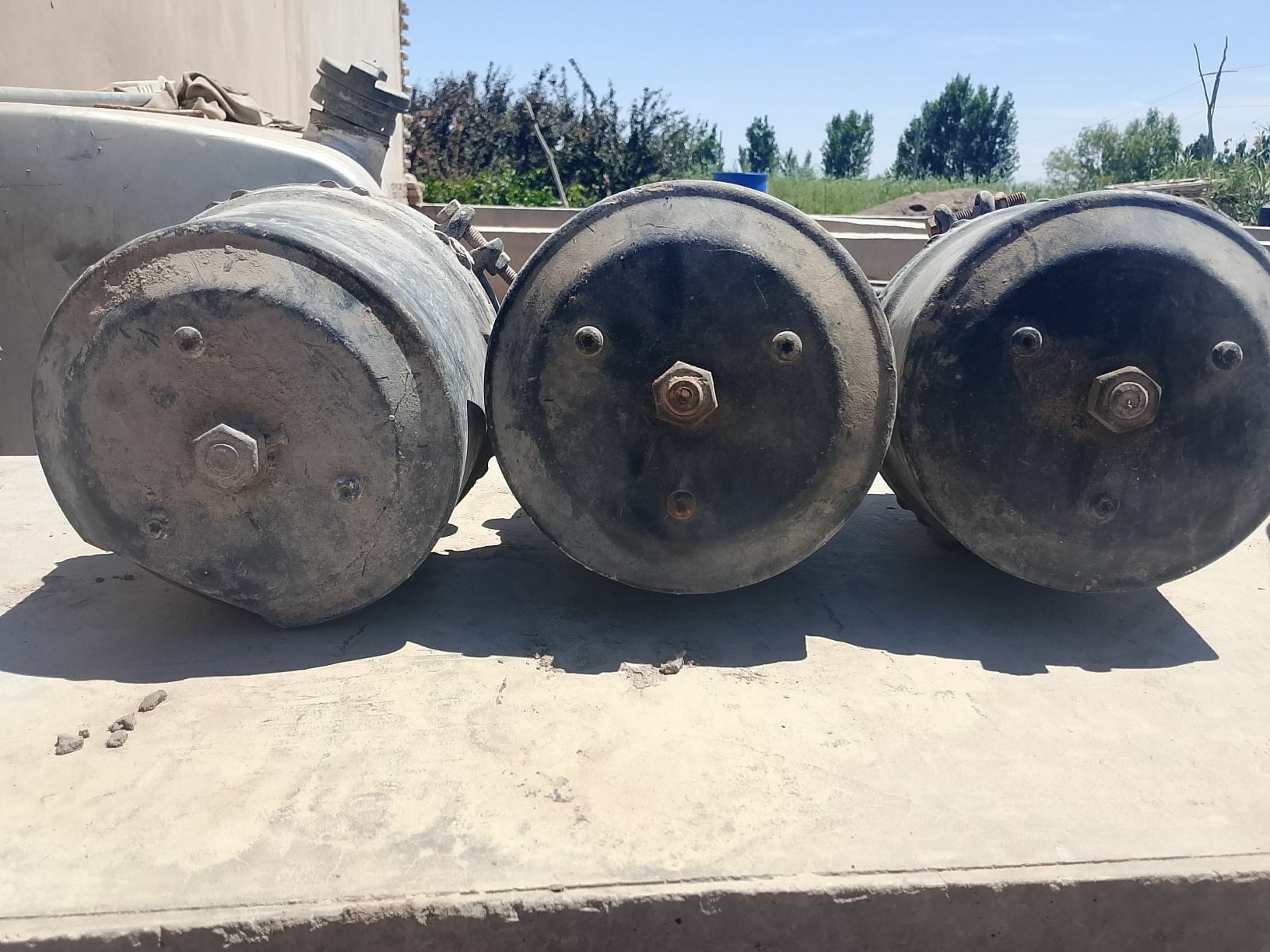 tormuz tumça 1 200 TMT - Дашогуз - img 1