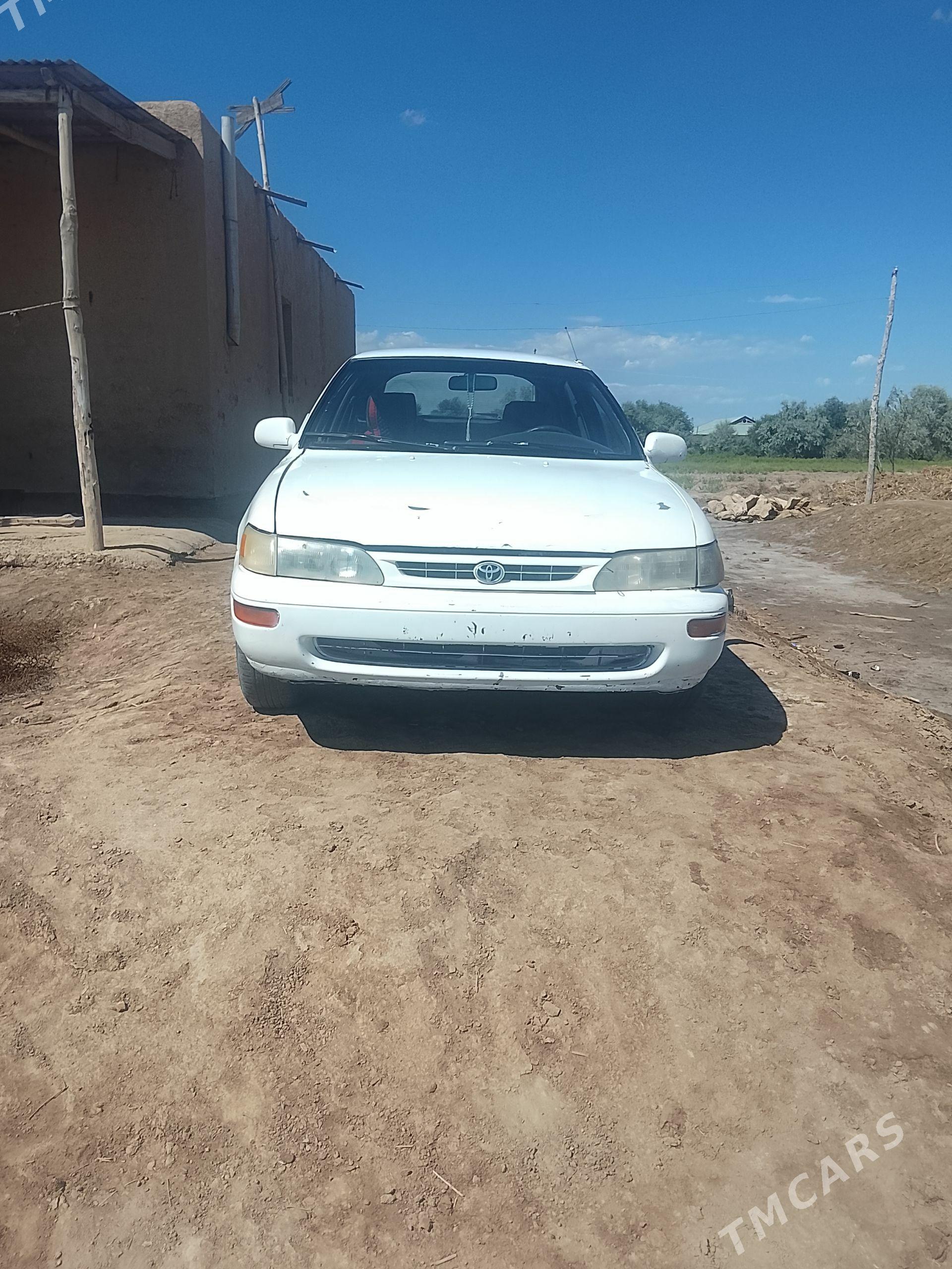 Toyota Corolla 1995 - 45 000 TMT - Кёнеургенч - img 1