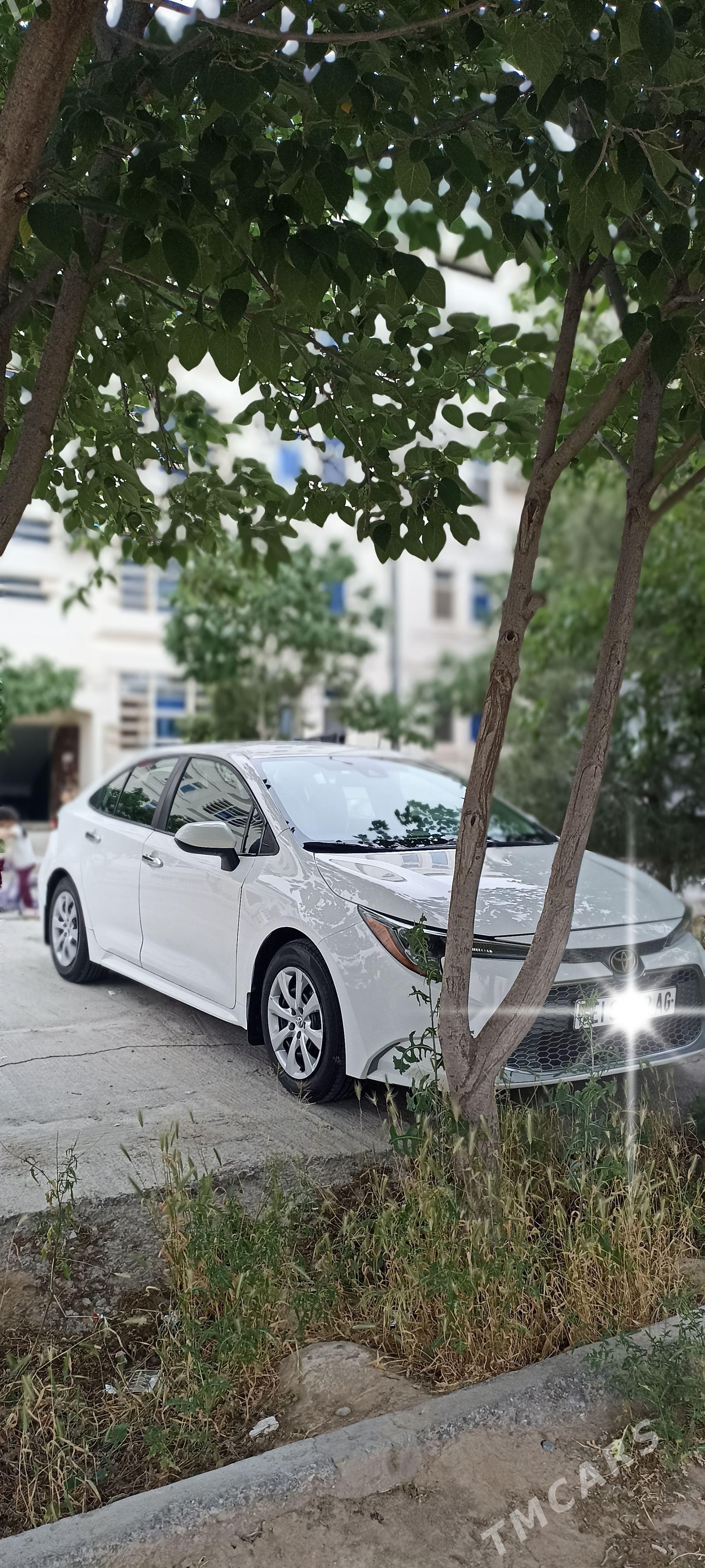 Toyota Corolla 2020 - 228 000 TMT - Бузмеин ГРЭС - img 1