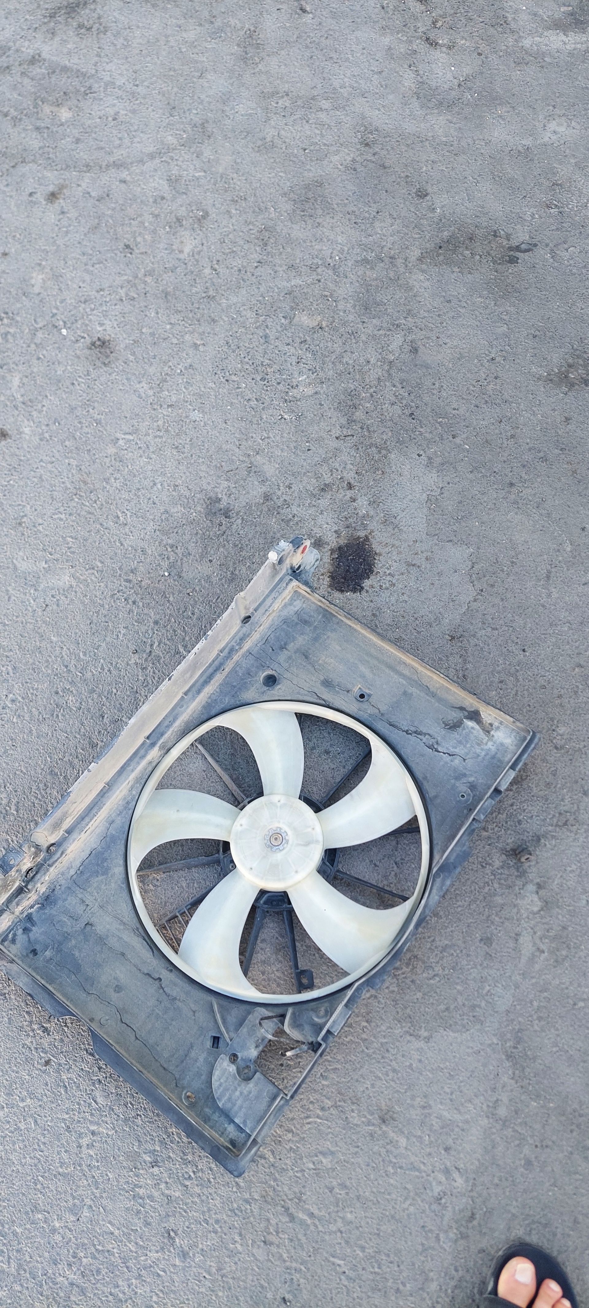 wintilyator lopus 600 TMT - Köşi - img 1