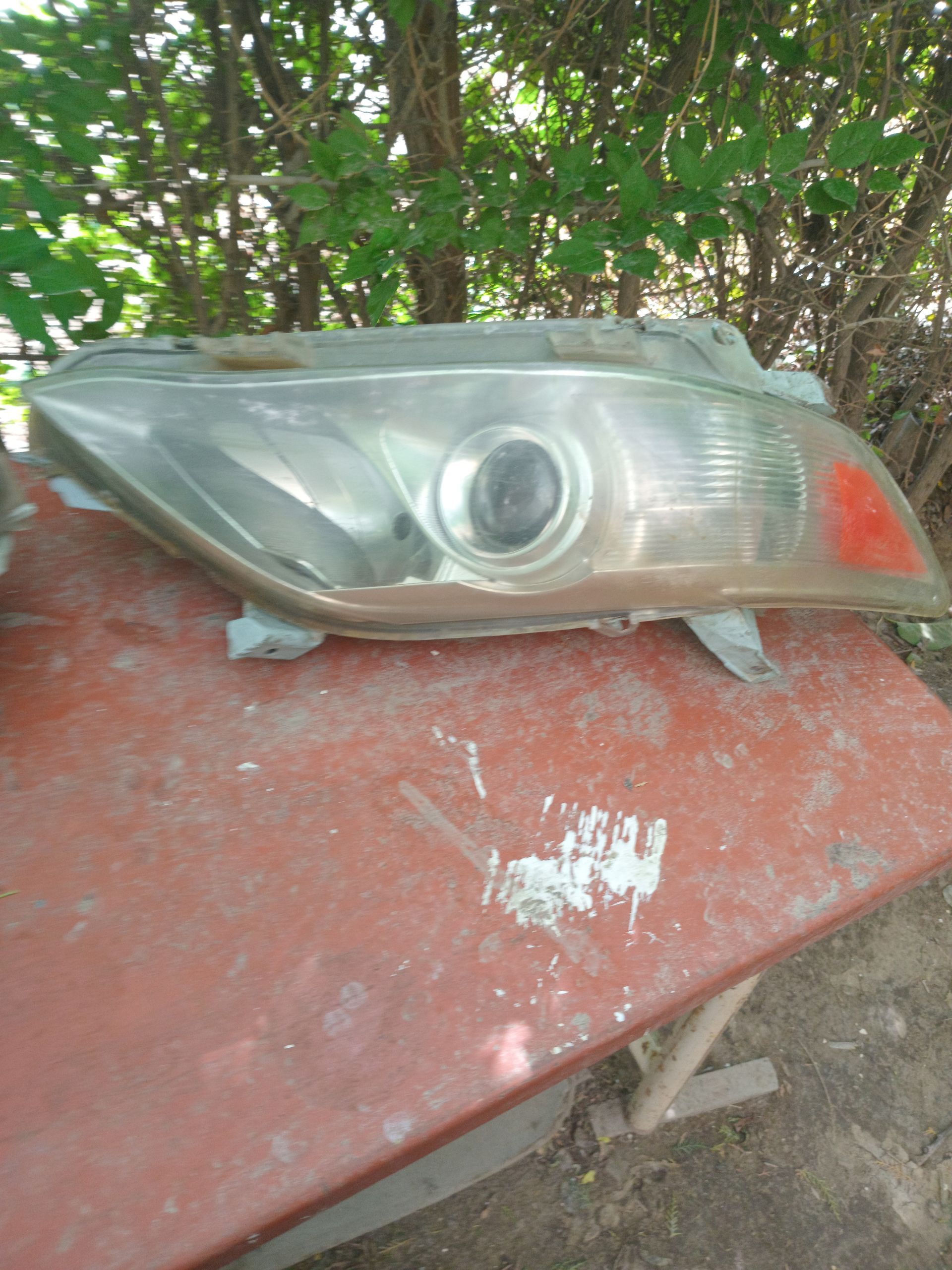 okuz kelle far 300 TMT - Daşoguz - img 1