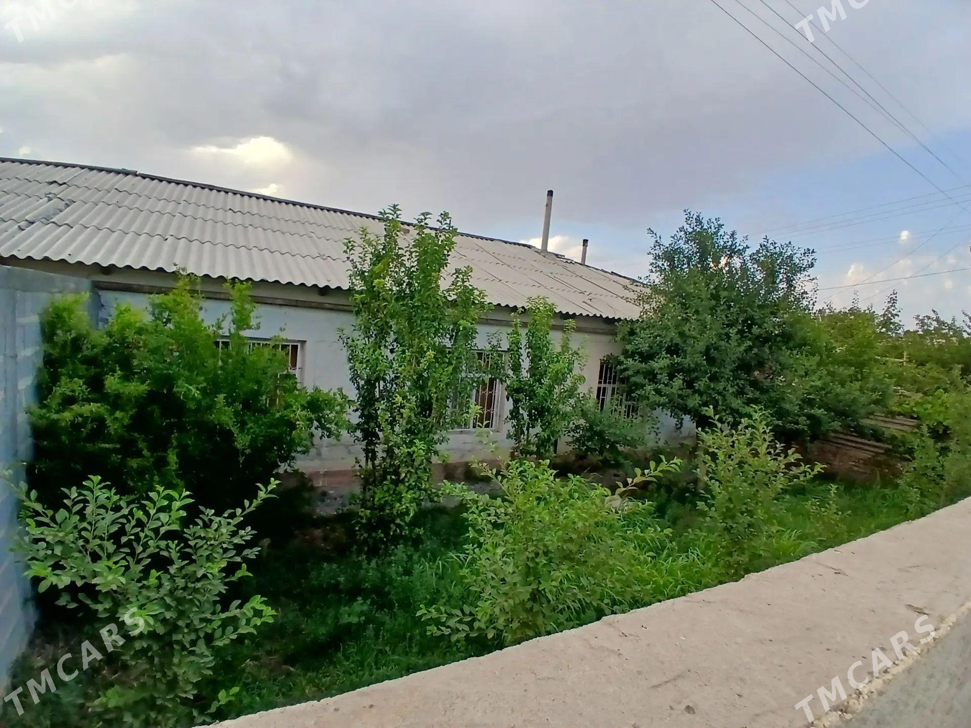 satlyk jaý paraw biwide - Gyzylarbat - img 1
