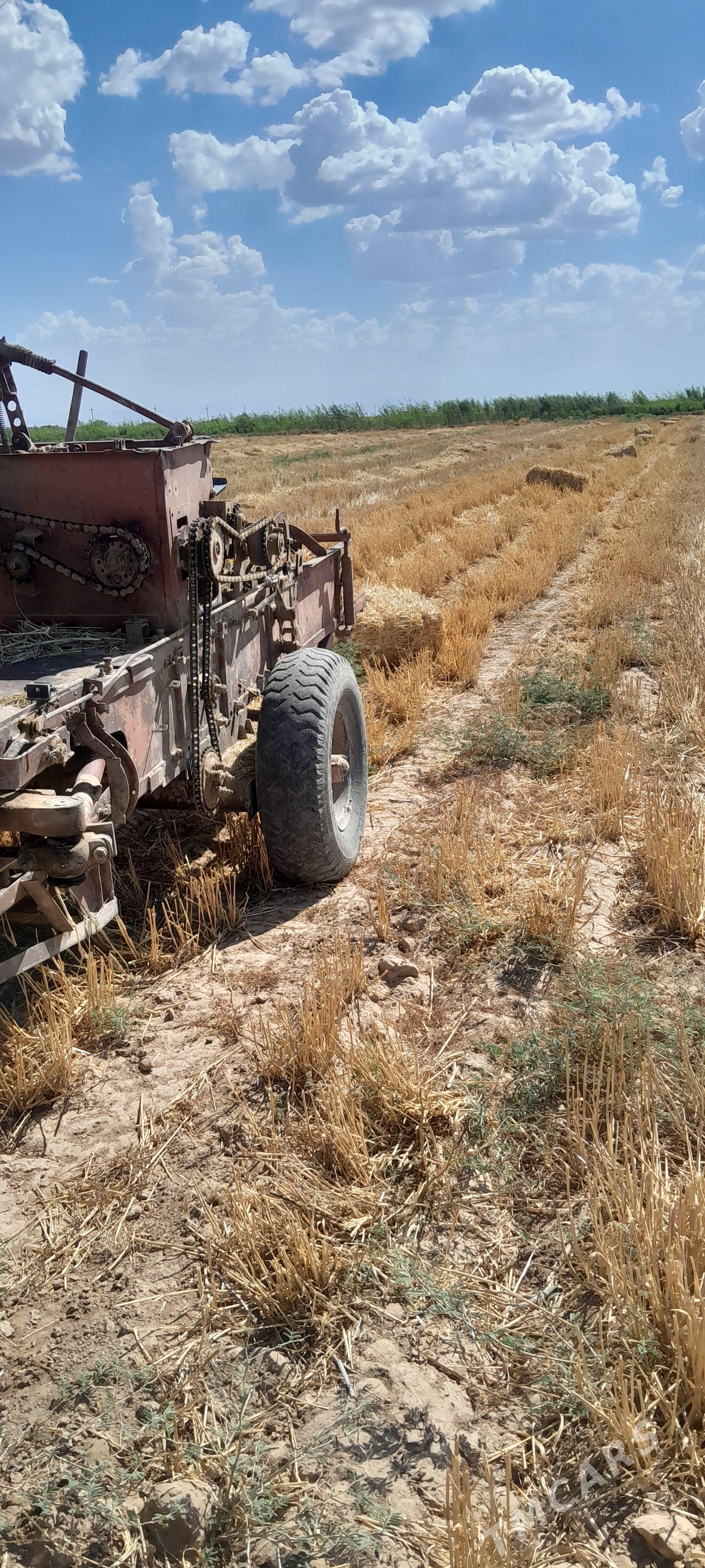 MTZ 82 2000 - 35 000 TMT - Tejen - img 1