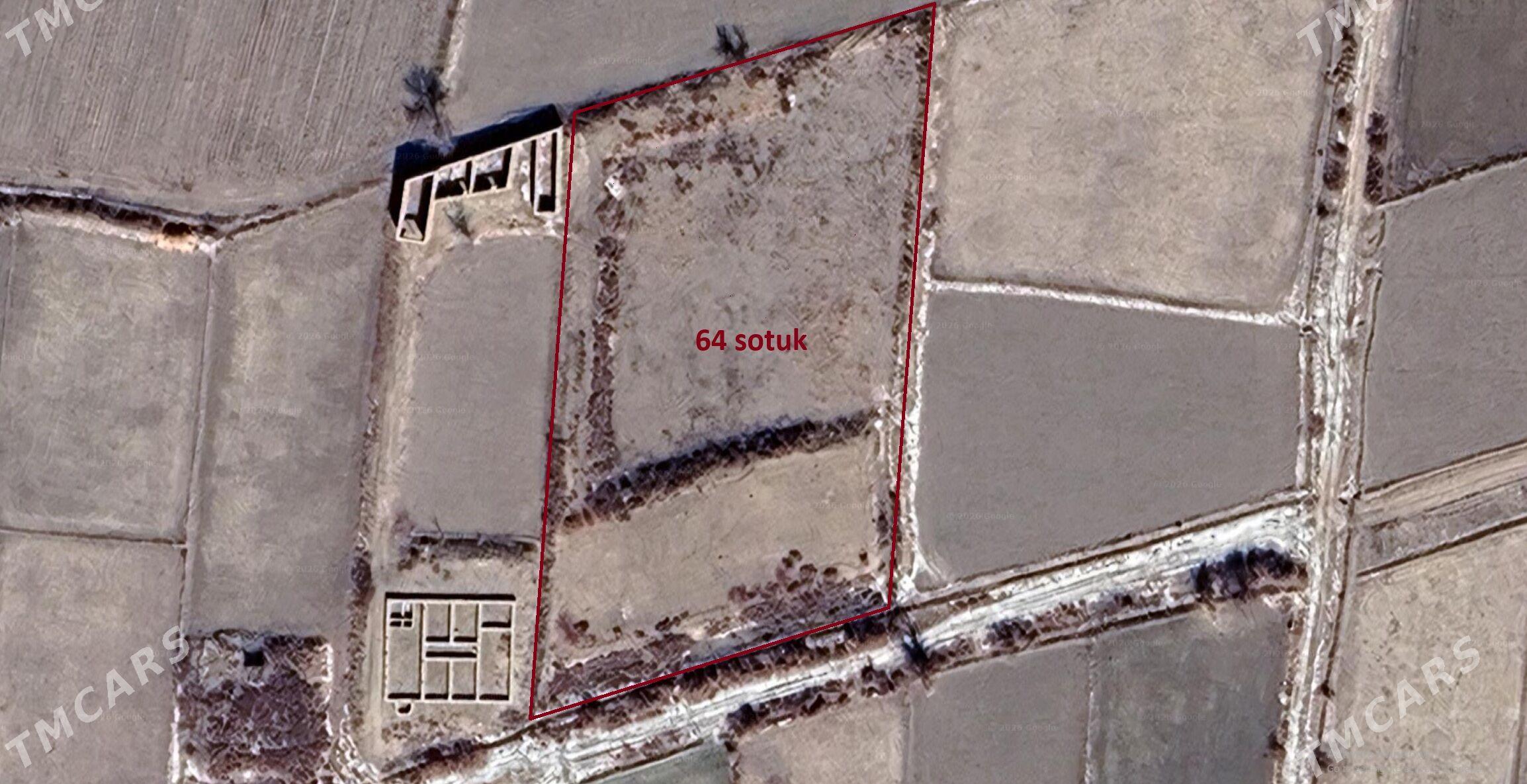 Satlyk Mellek - 64 sotuk - Гороглы (Тагта) - img 1